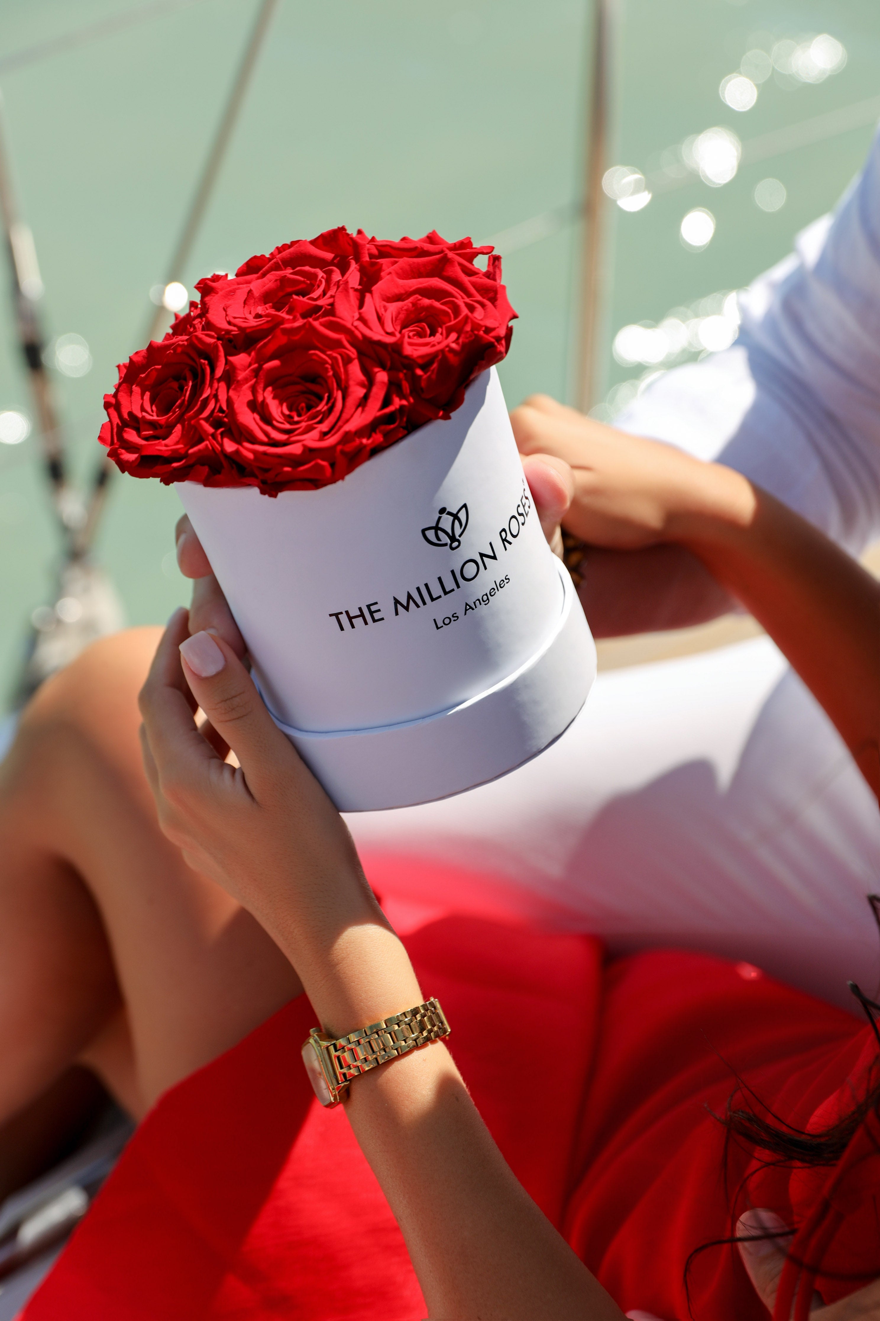 From myth to pop culture: the rose, unfolded