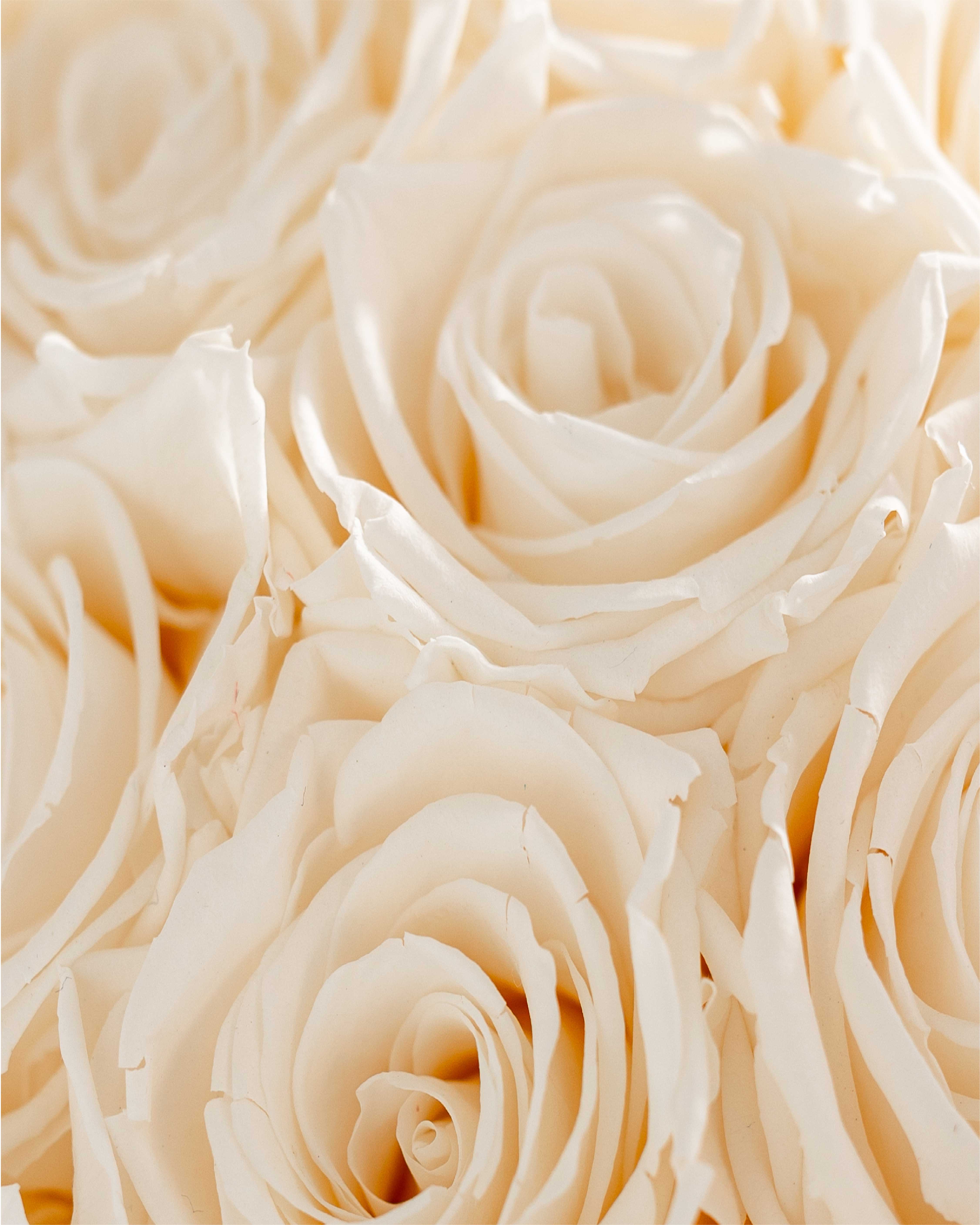 Bridal white roses for the eternal vows