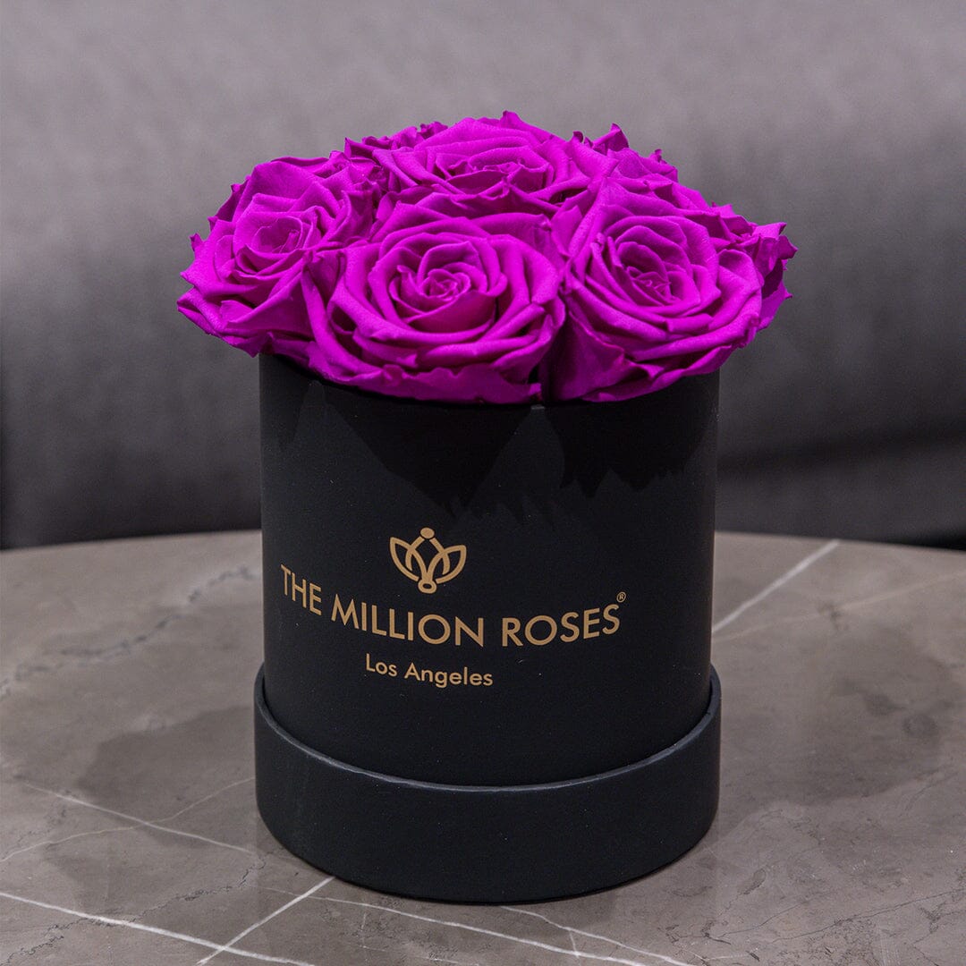 Basic Black Box | Bright Purple Roses