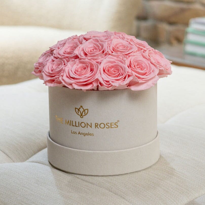 Classic Beige Suede Dome Box | Light Pink Roses