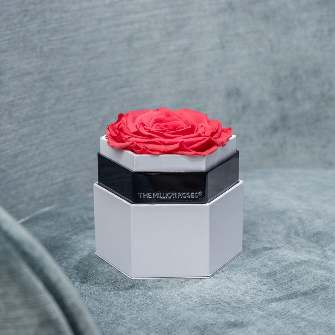 ONE IN A MILLION™ WHITE HEXAGON BOX | CORAL ROSE