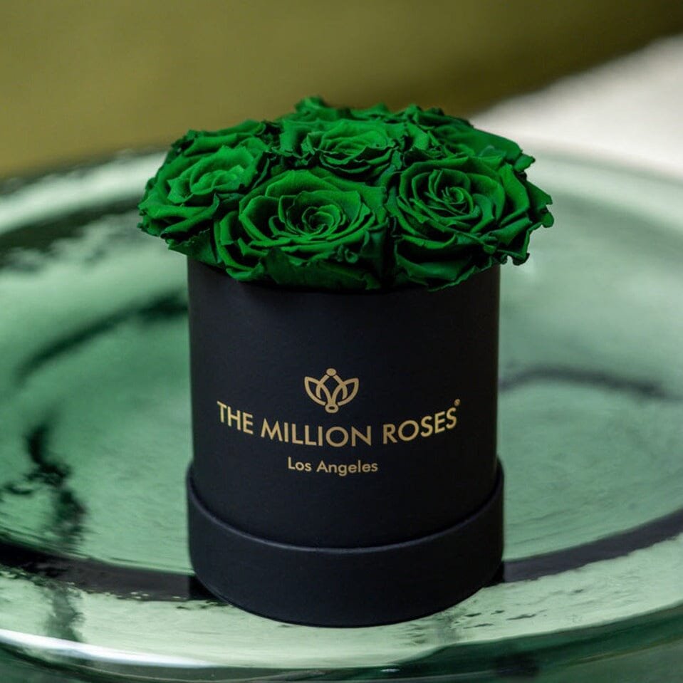 Basic Black Box | Dark Green Roses