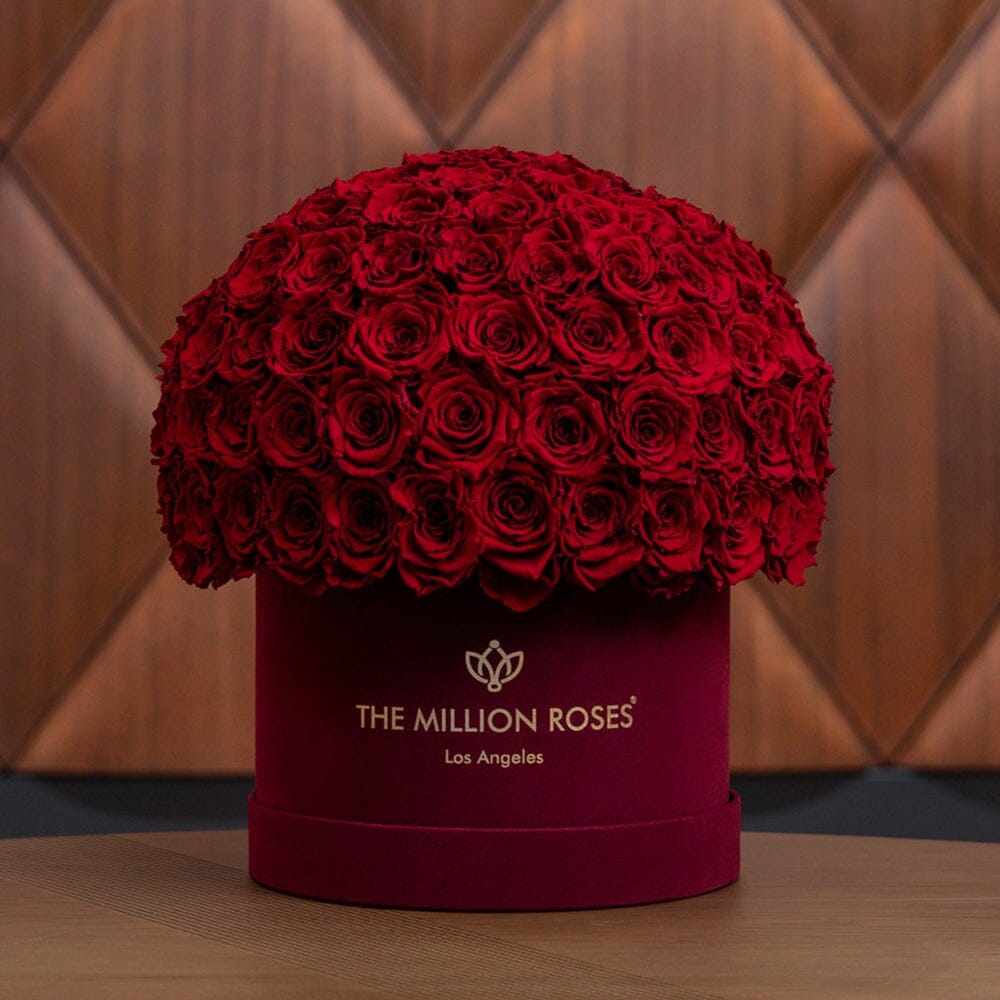 Supreme Bordeaux Suede Superdome Box | Burgundy Roses