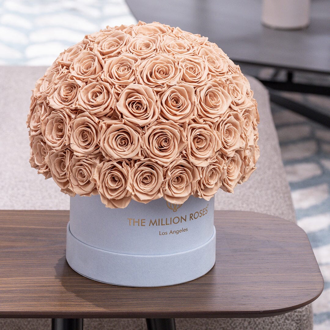 Classic Light Blue Suede Superdome Box | Sand Roses