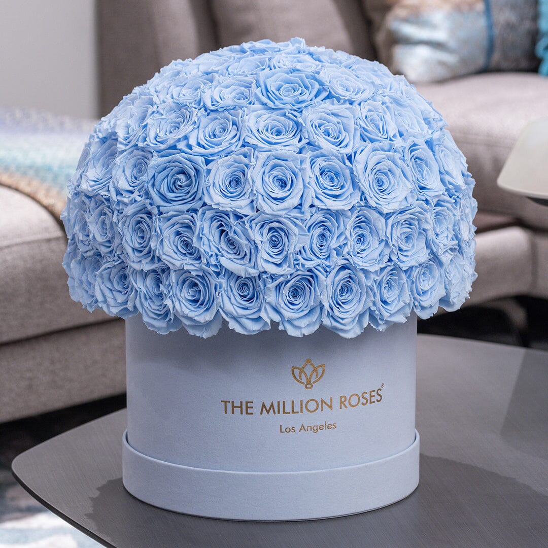 Supreme Light Blue Suede Superdome Box | Light Blue Roses