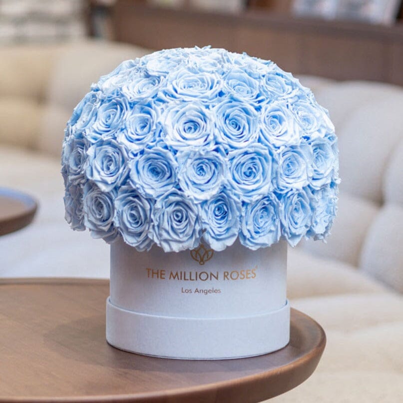 Classic Light Blue Suede Superdome Box | Light Blue Roses