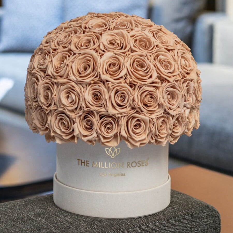 Classic Beige Suede Superdome Box | Sand Roses