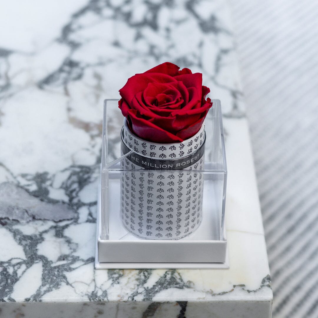 Single White Monogram Box | Red Rose