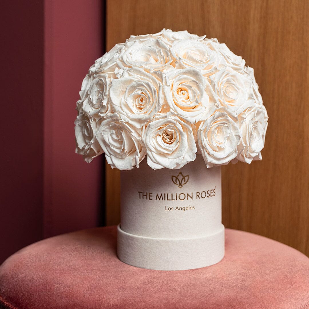 Basic Beige Suede Superdome Box | White Roses