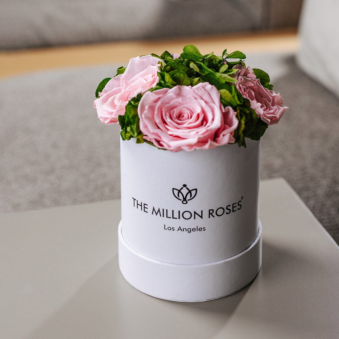 Basic White Garden Box | Light Pink Roses