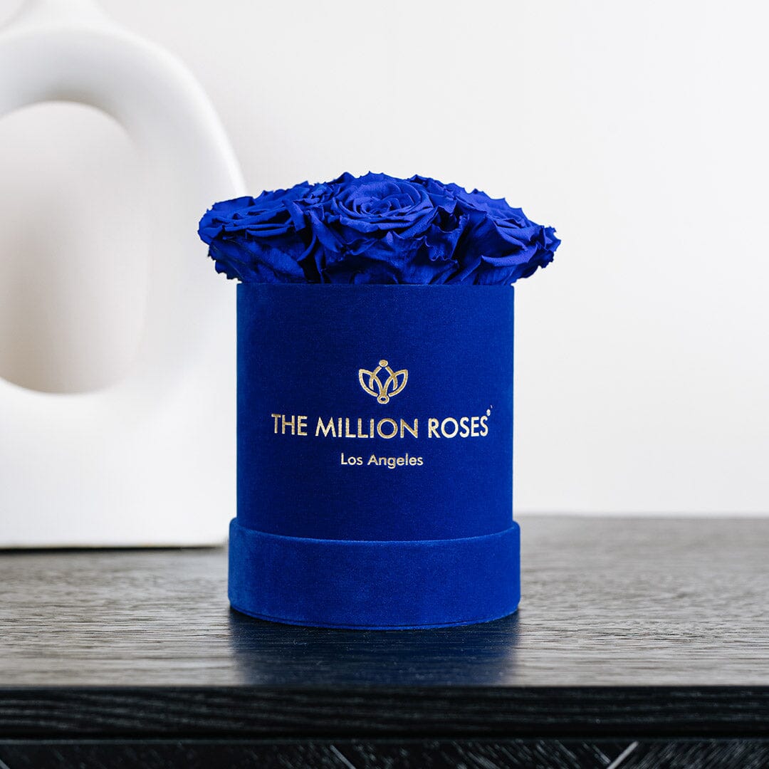 Basic Royal Blue Suede Box | Royal Blue Roses