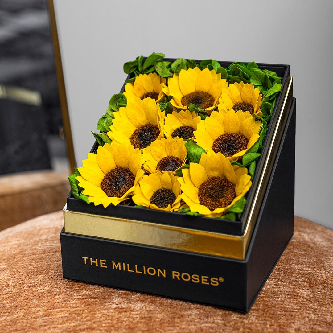 Square Black Box | Sunflowers