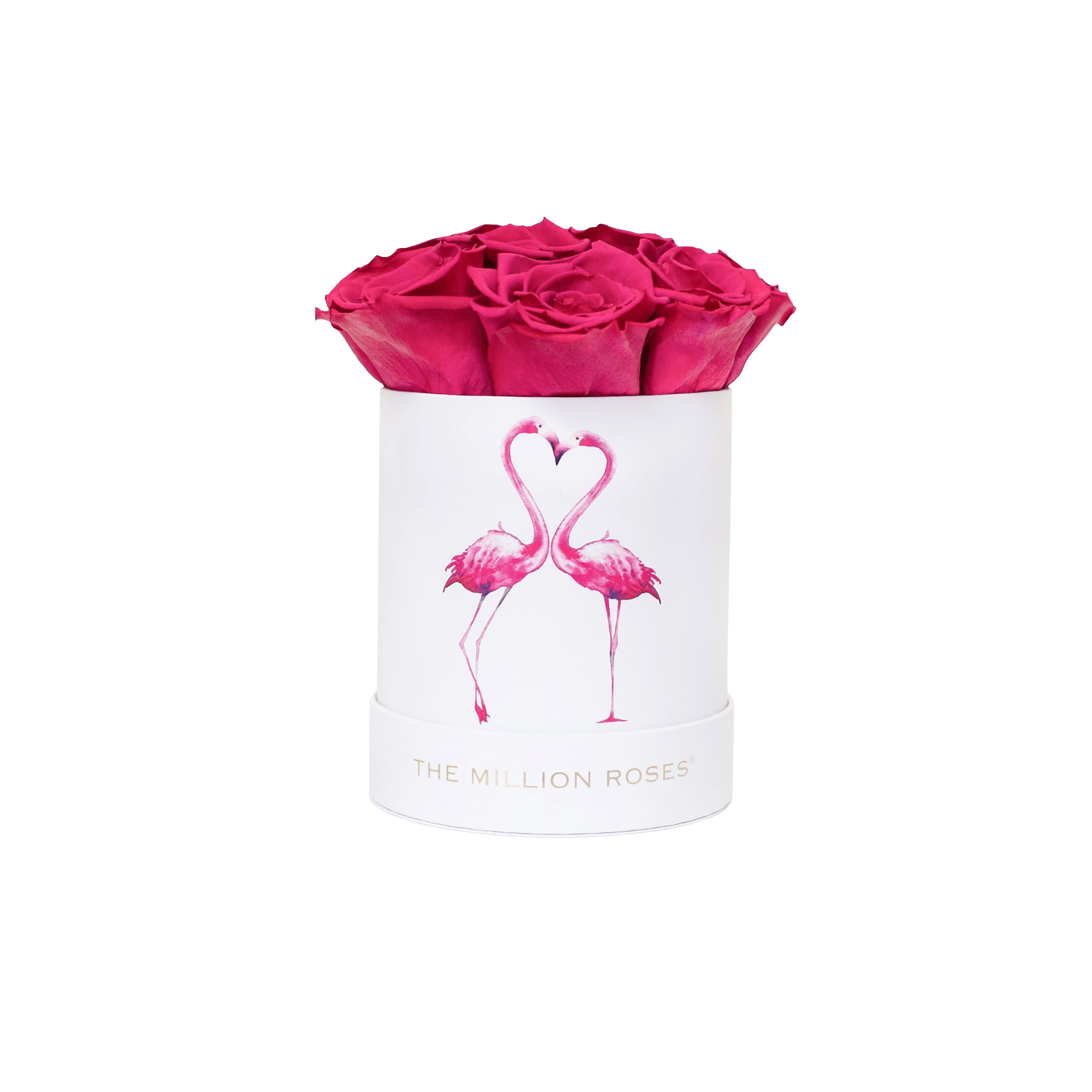 Basic White Box | Flamingo Edition | Magenta Roses