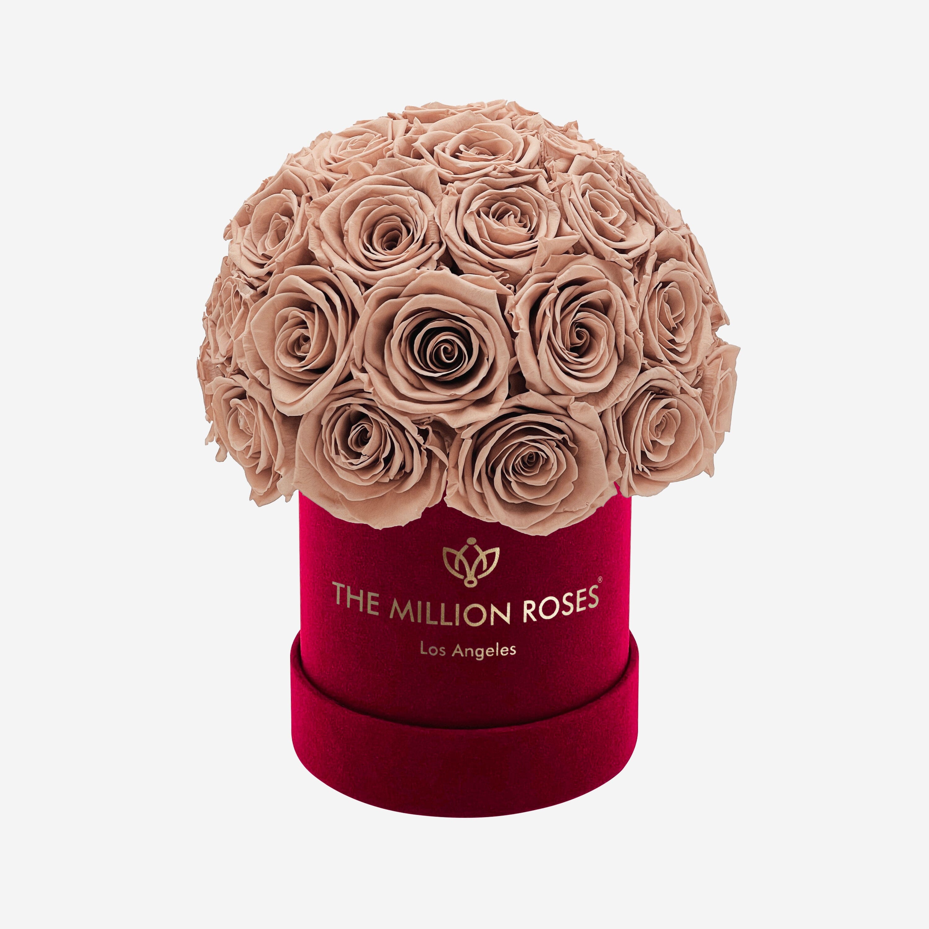 Basic Bordeaux Suede Superdome Box | Sand Roses