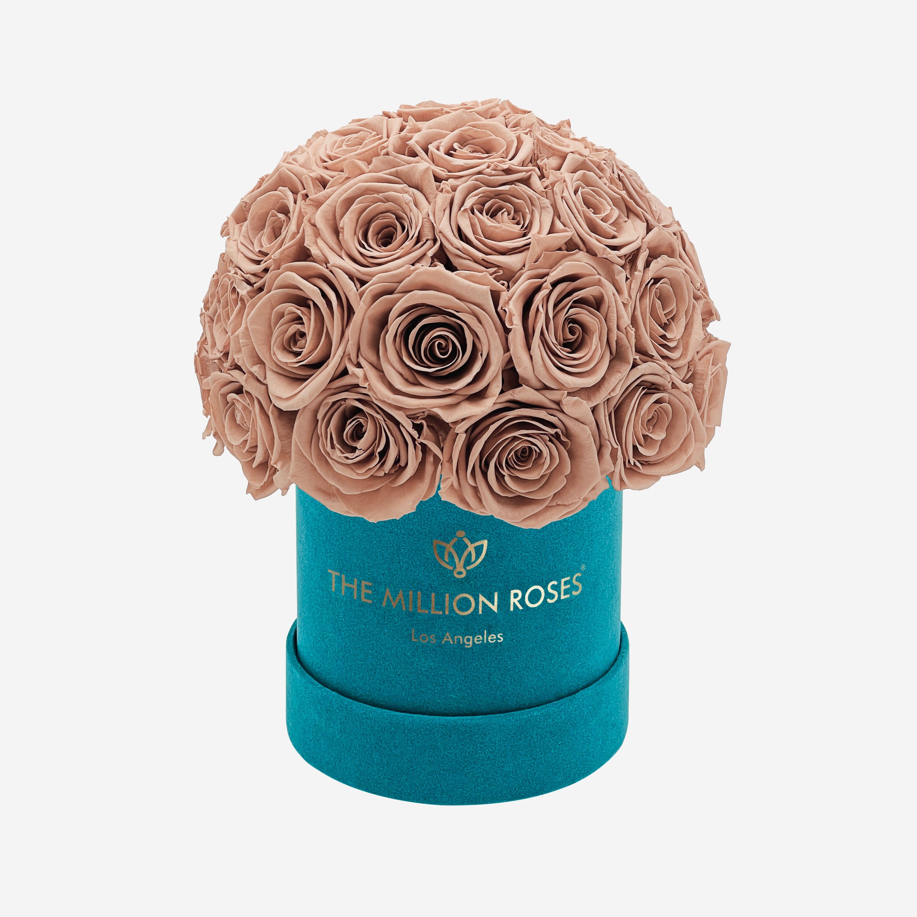 Basic Dark Green Suede Superdome Box | Sand Roses