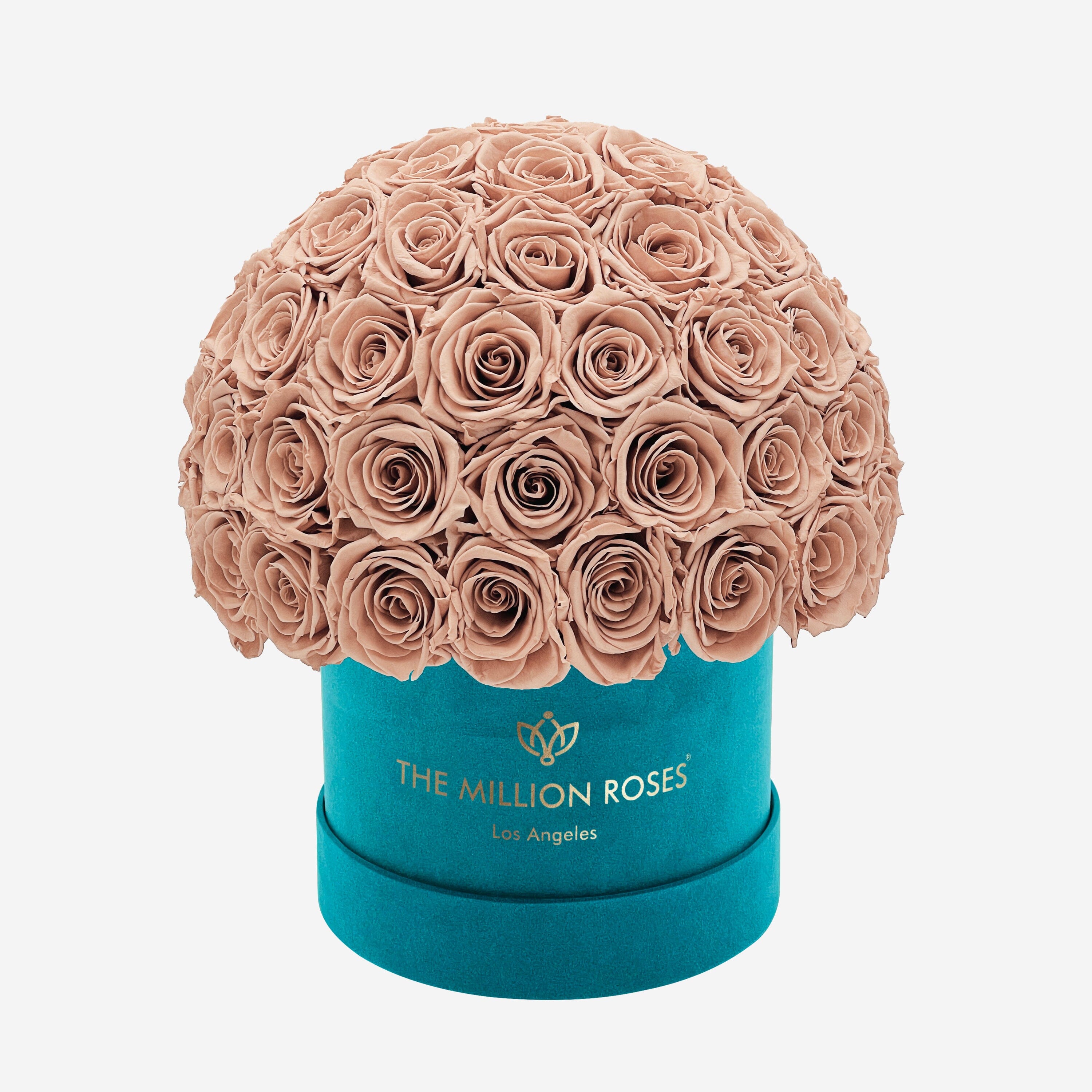 Classic Dark Green Suede Superdome Box | Sand Roses