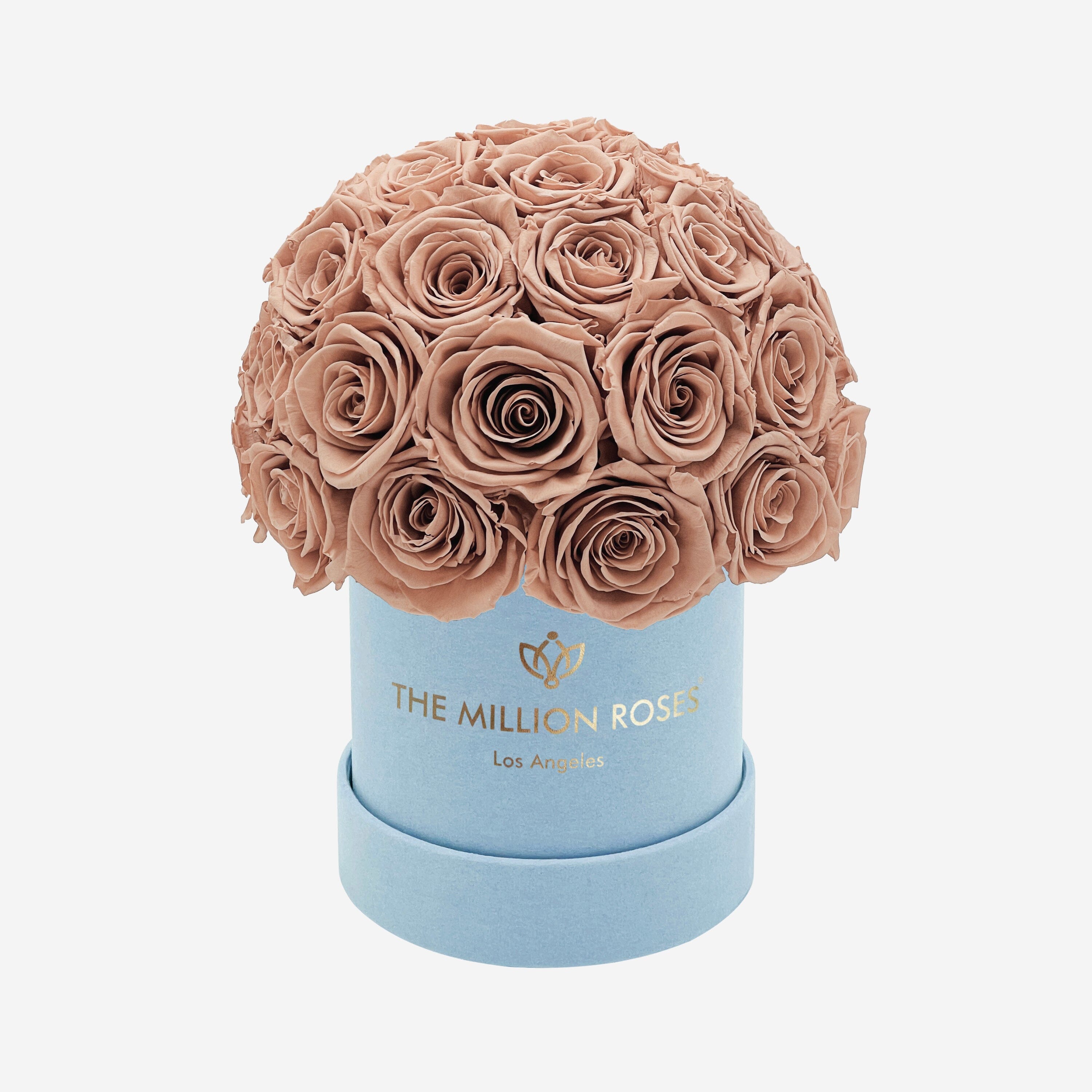 Basic Light Blue Suede Superdome Box | Sand Roses