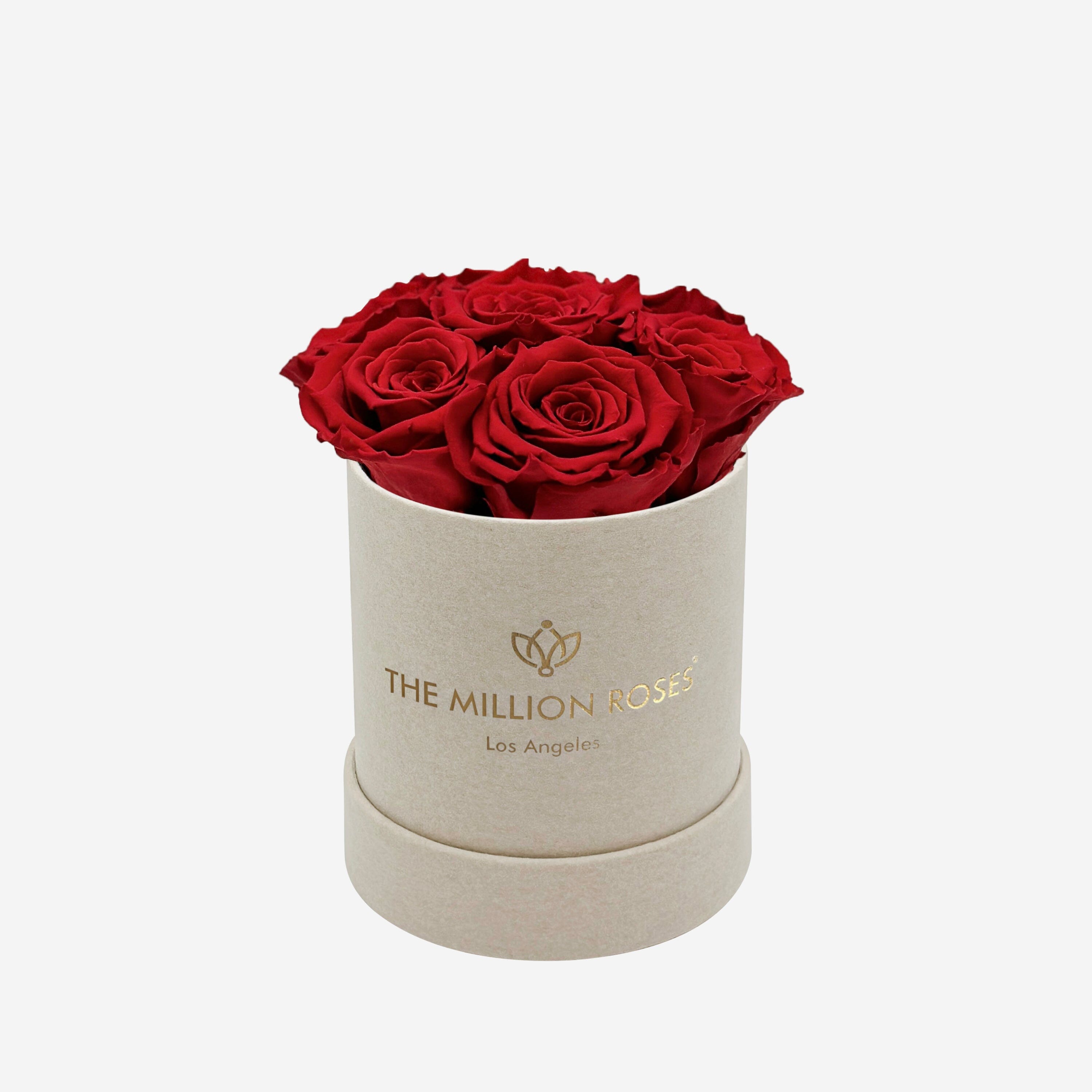 Basic Beige Suede Box | Red Roses