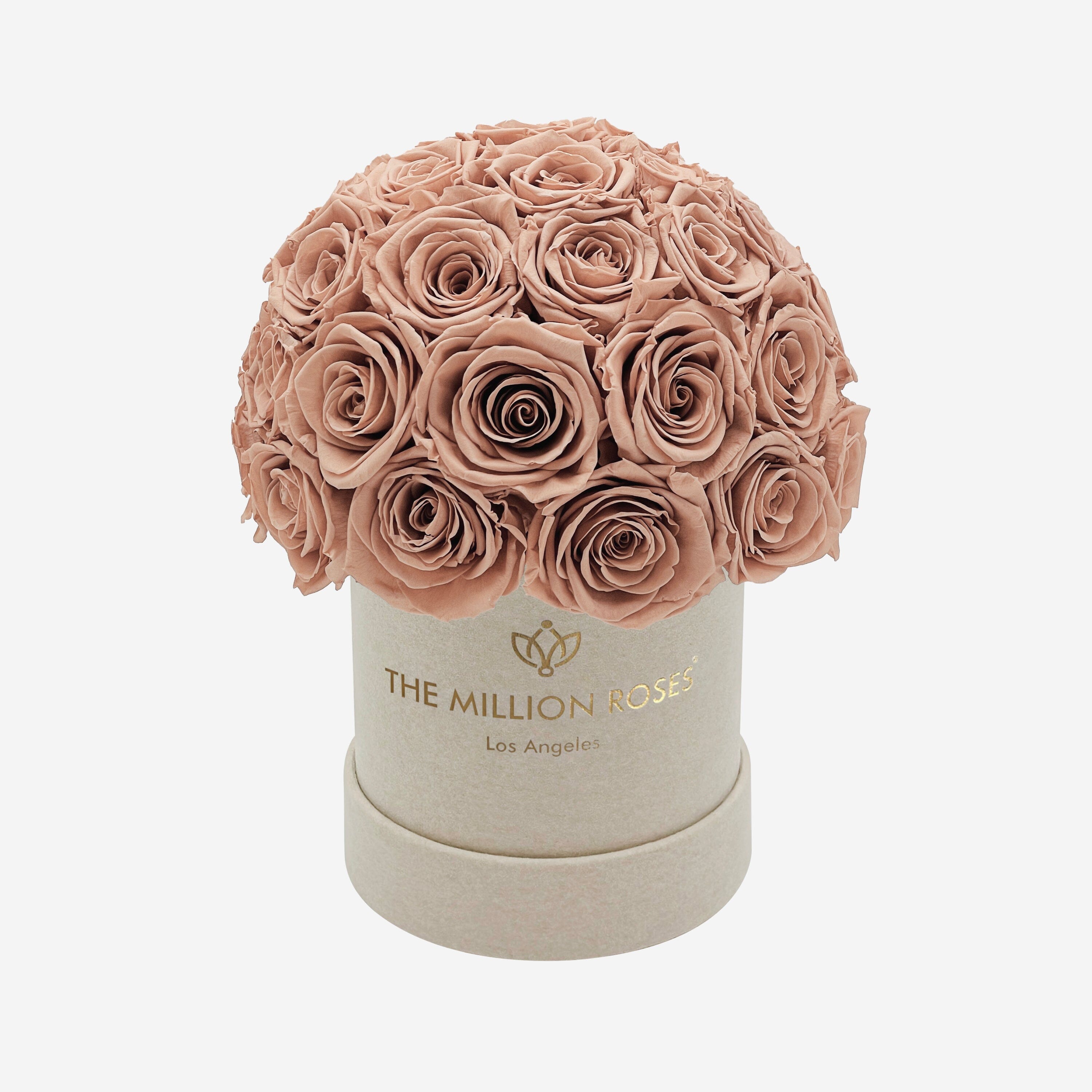 Basic Beige Suede Superdome Box | Sand Roses