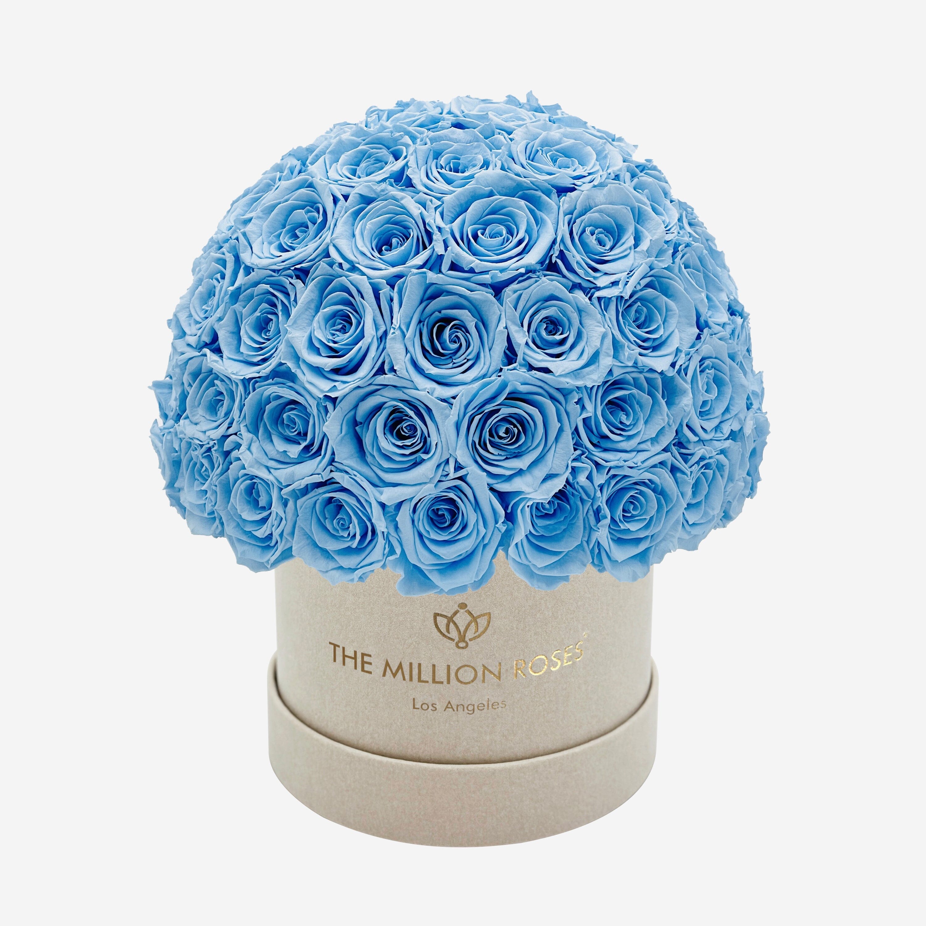 Classic Beige Suede Superdome Box | Light Blue Roses