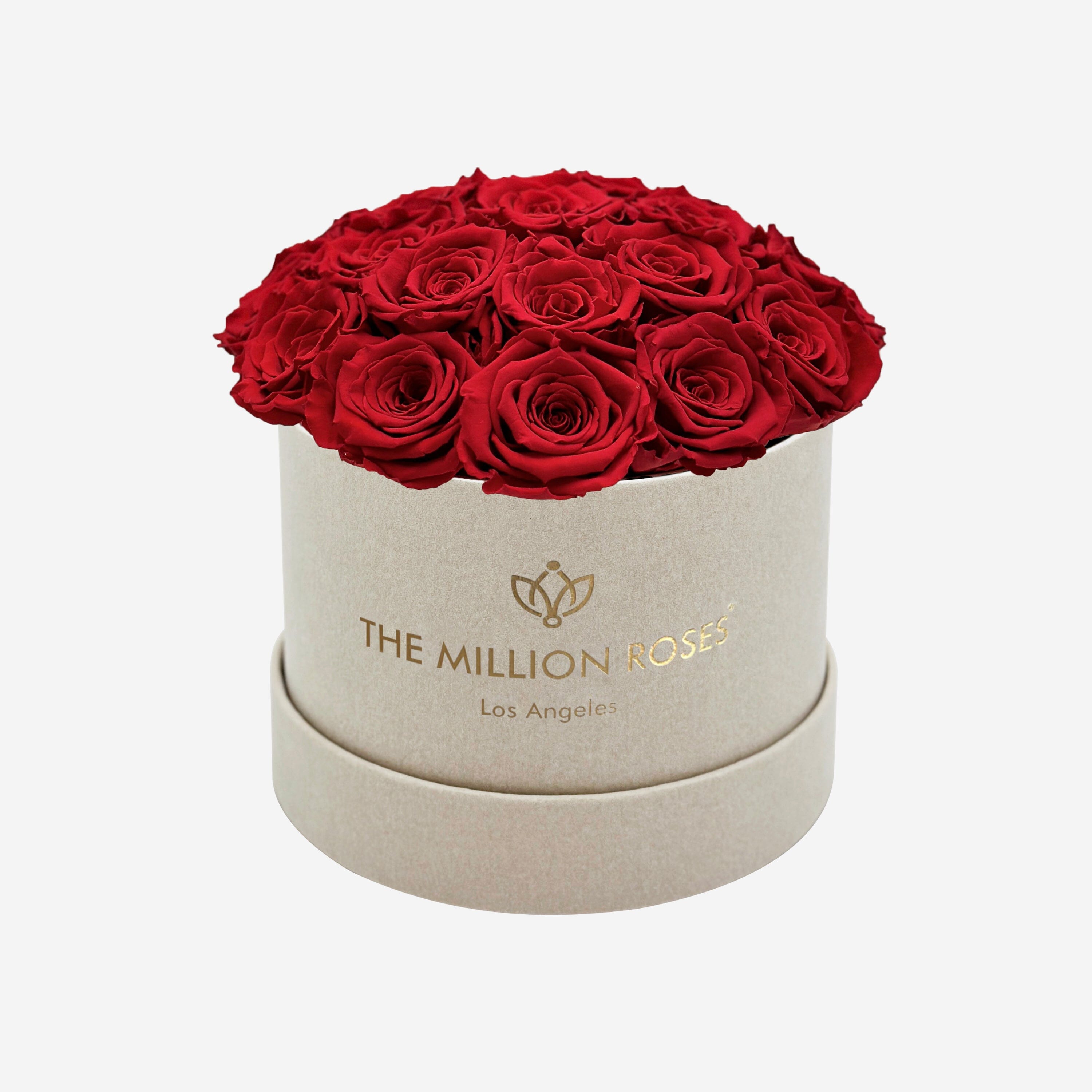 Classic Beige Suede Dome Box | Red Roses