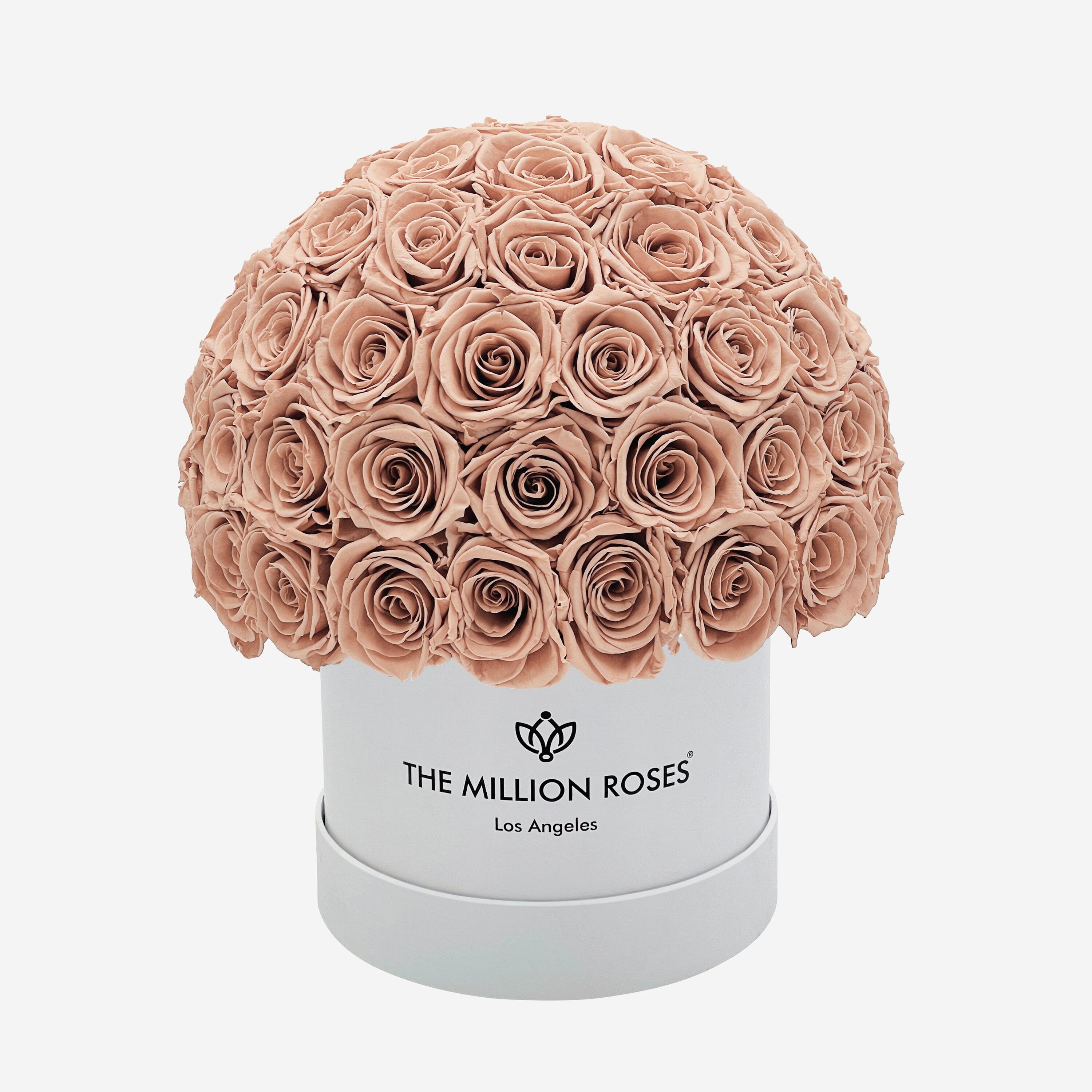 Classic White Superdome Box | Sand Roses