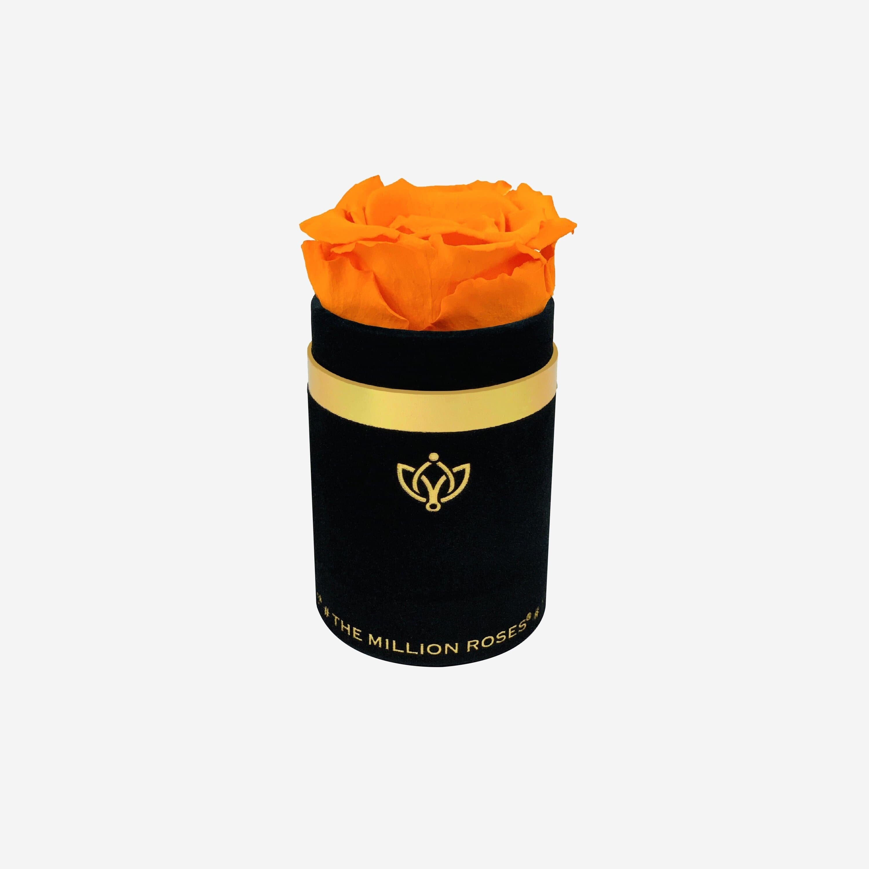 Single Black Suede Box | Orange Rose - The Million Roses