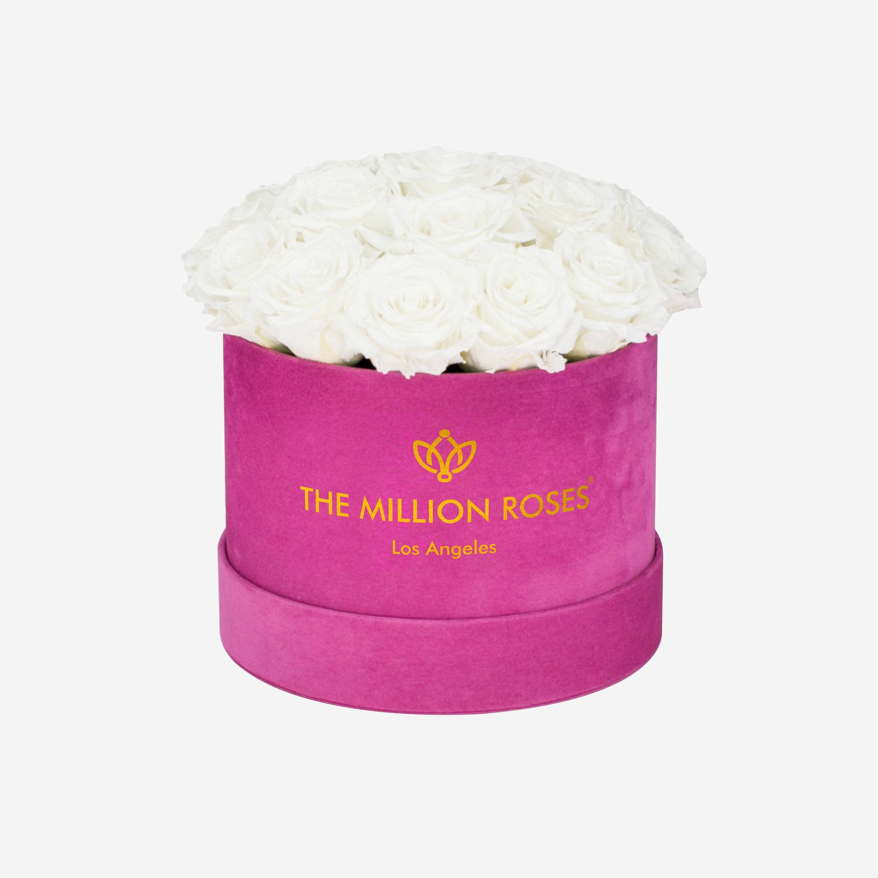 Classic Hot Pink Suede Dome Box | White Roses - The Million Roses