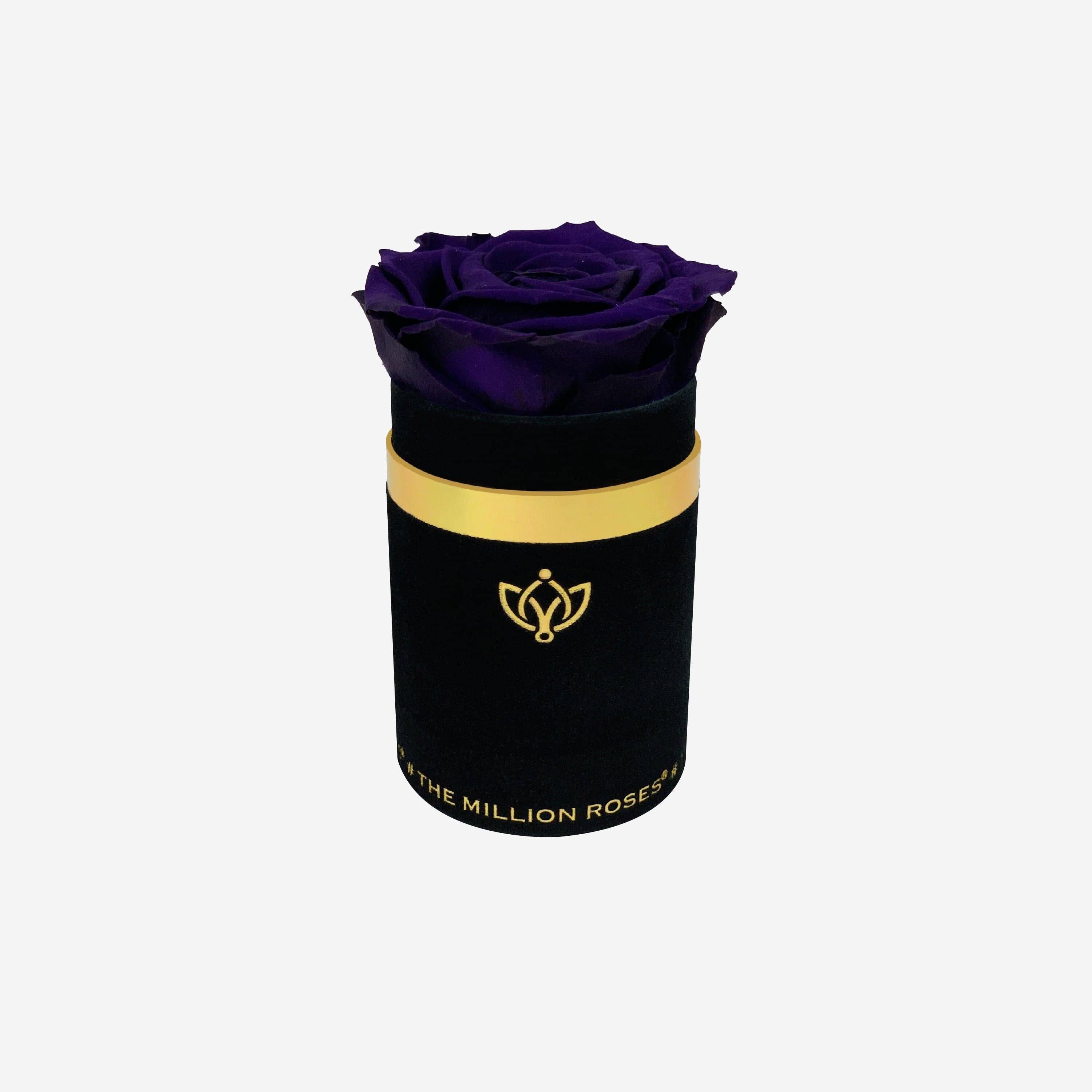 Single Black Suede Box | Dark Purple Rose - The Million Roses