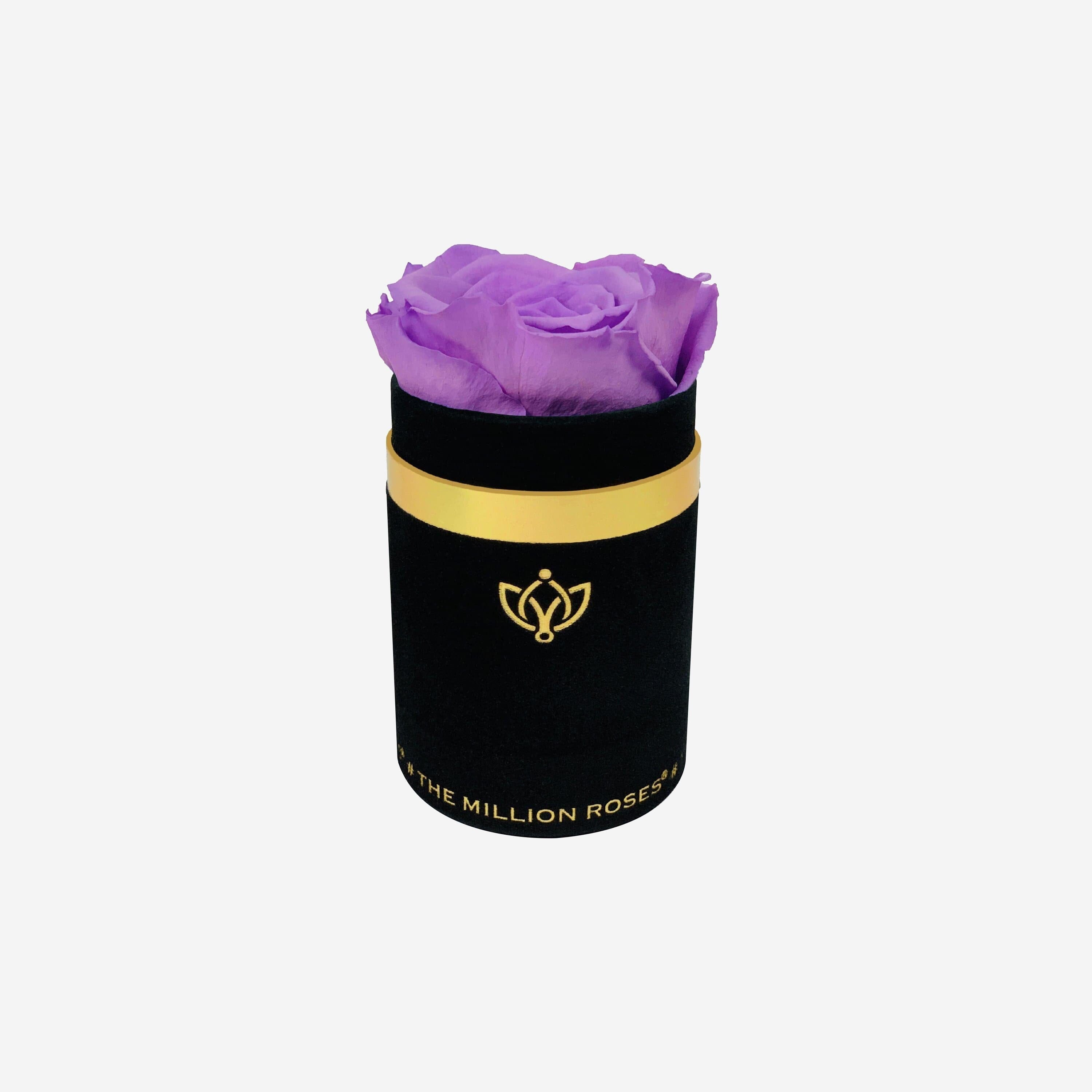 Single Black Suede Box | Lavender Rose - The Million Roses