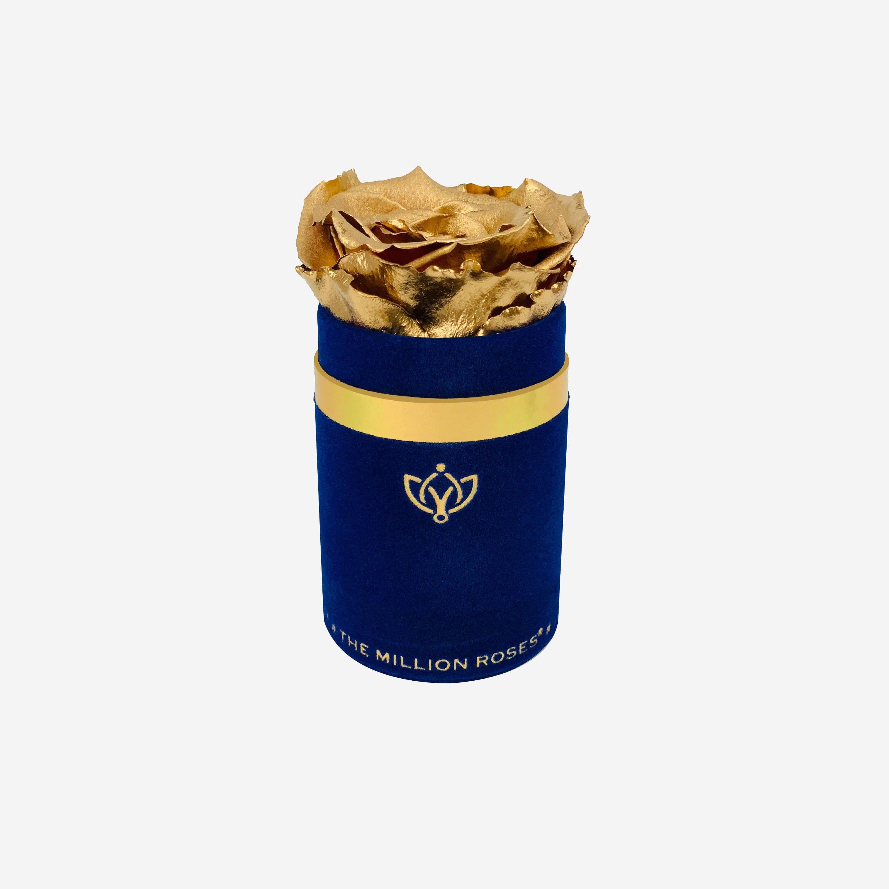 Single Royal Blue Suede Box | Gold Rose - The Million Roses