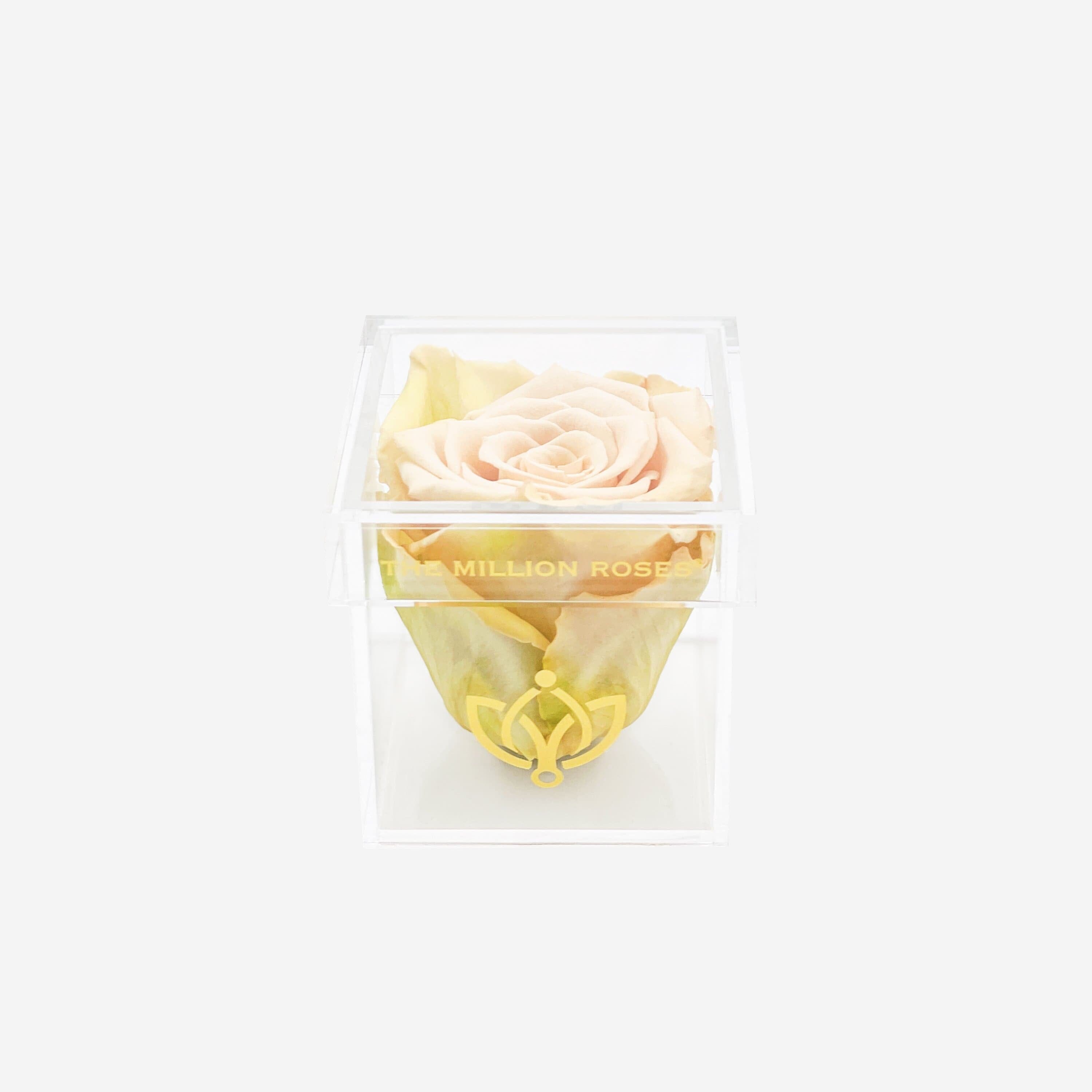 Acrylic Single Box | Fawn Bicolor Rose - The Million Roses