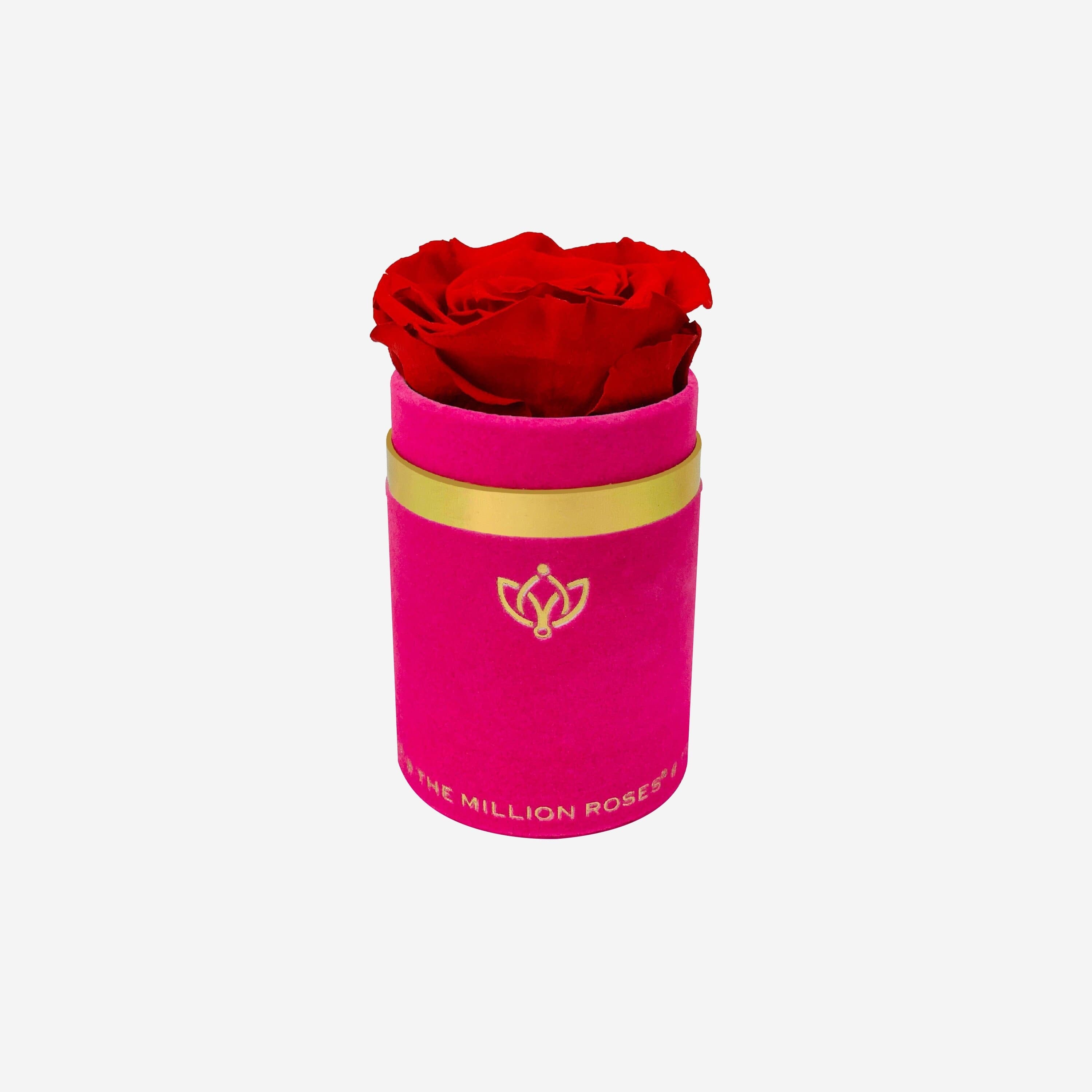 Single Hot Pink Suede Box | Red Rose - The Million Roses