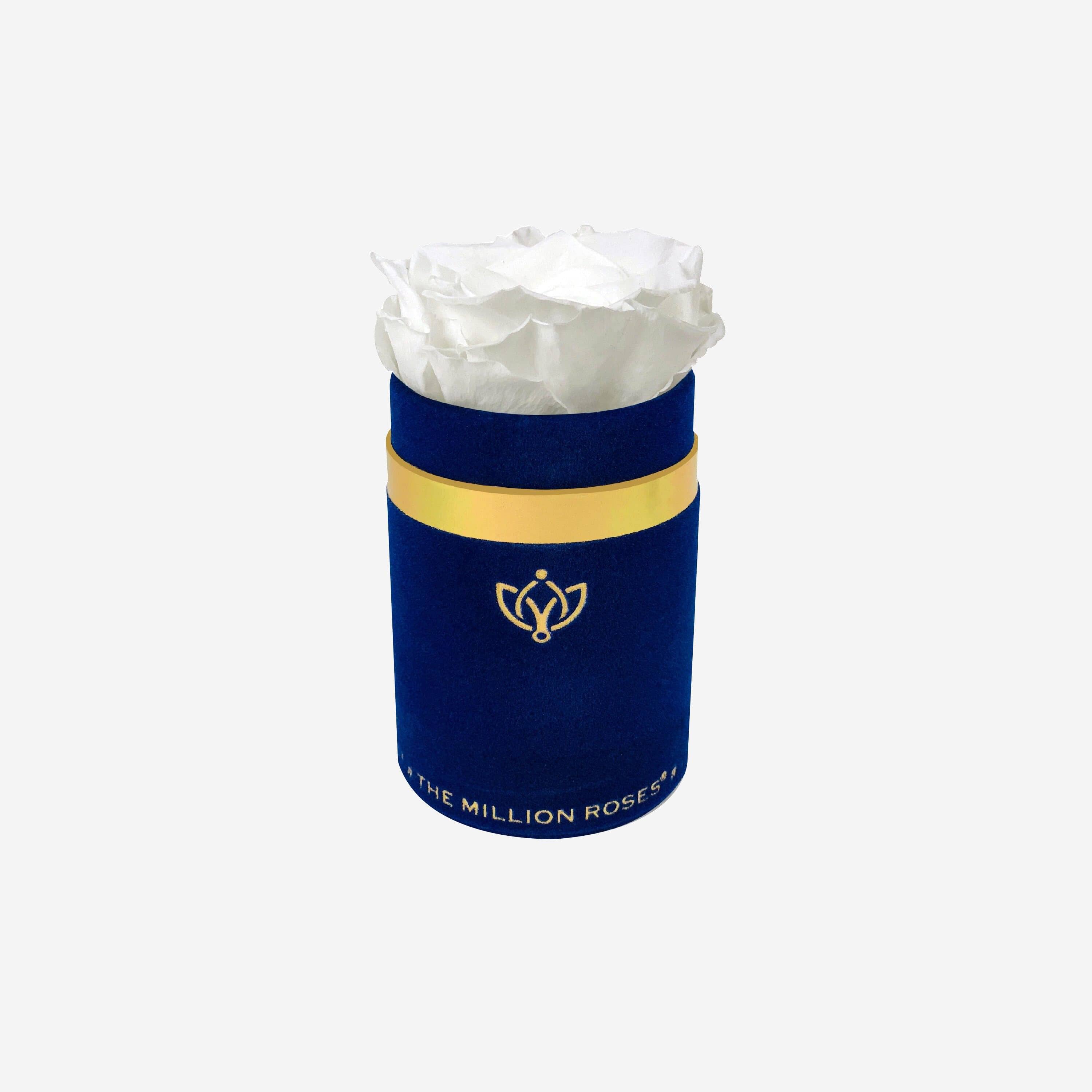 Single Royal Blue Suede Box | White Rose - The Million Roses