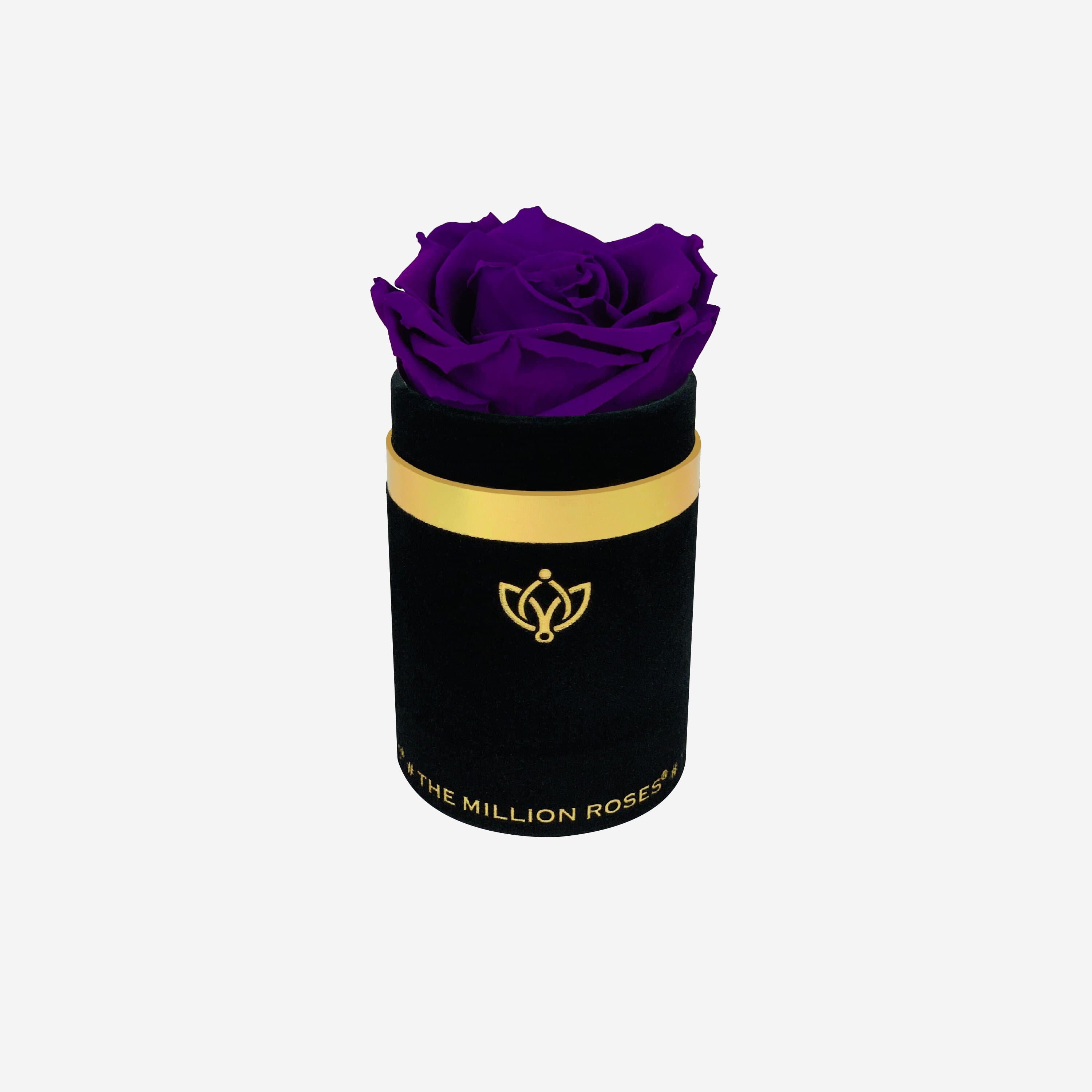 Single Black Suede Box | Bright Purple Rose - The Million Roses