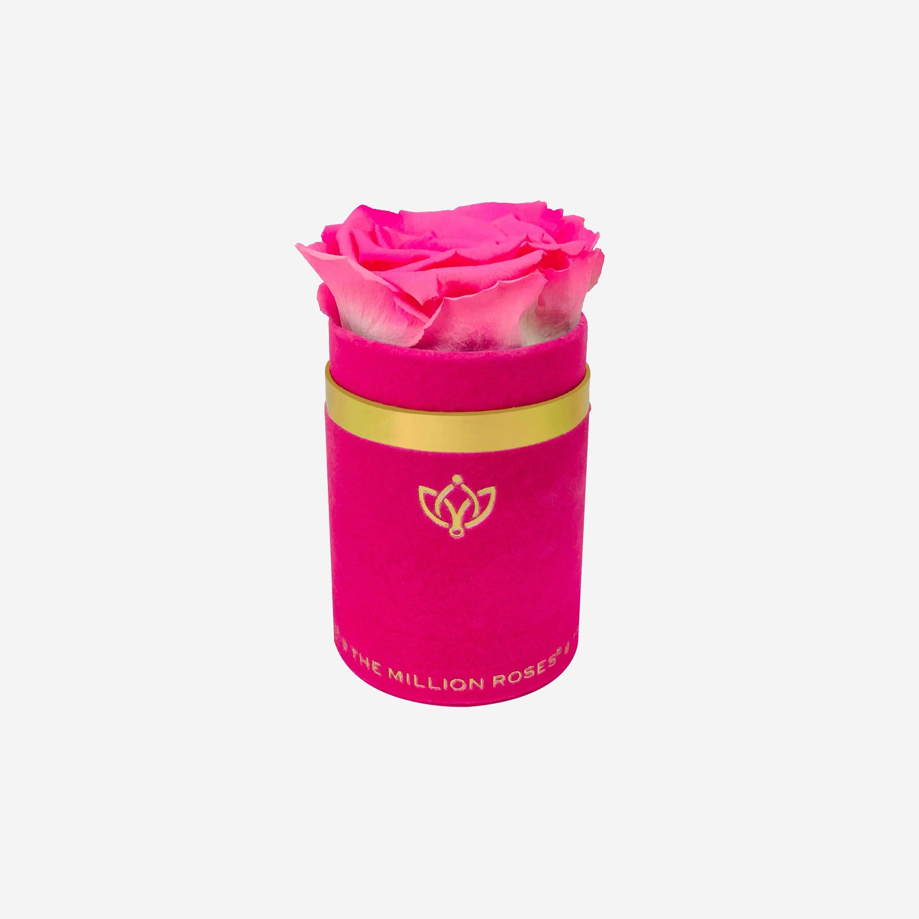 Single Hot Pink Suede Box | Candy Pink Rose - The Million Roses