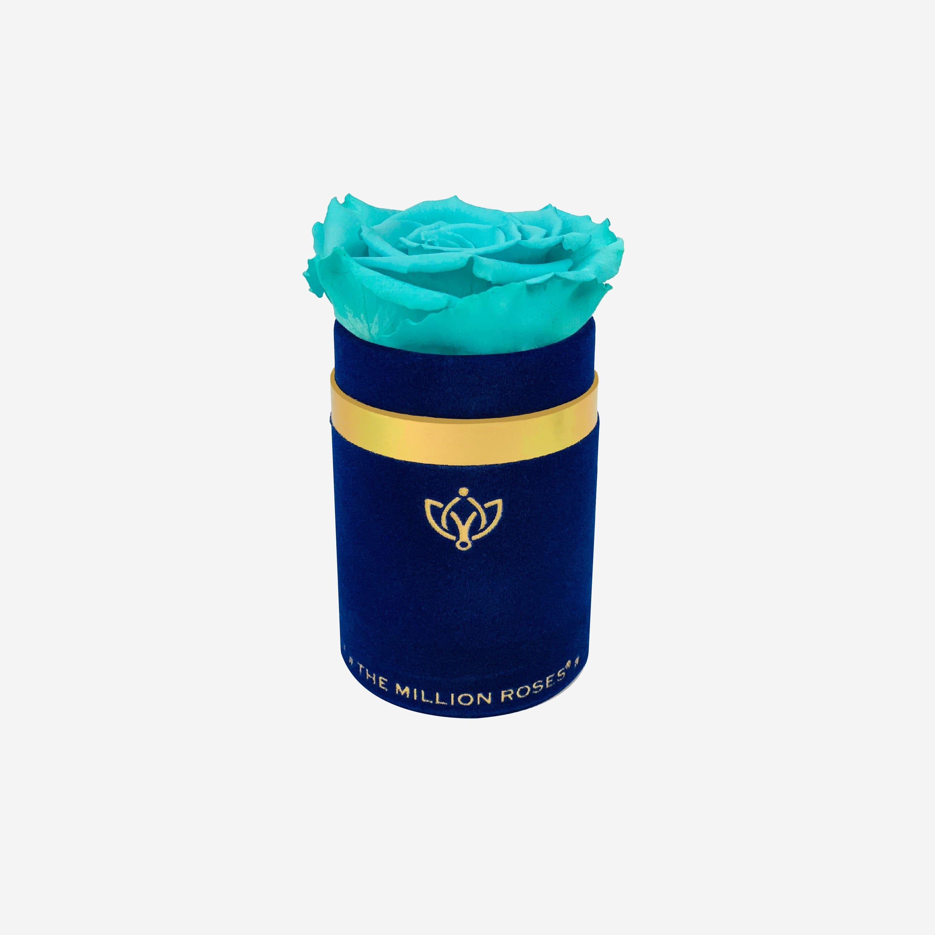 Single Royal Blue Suede Box | Turquoise Rose - The Million Roses