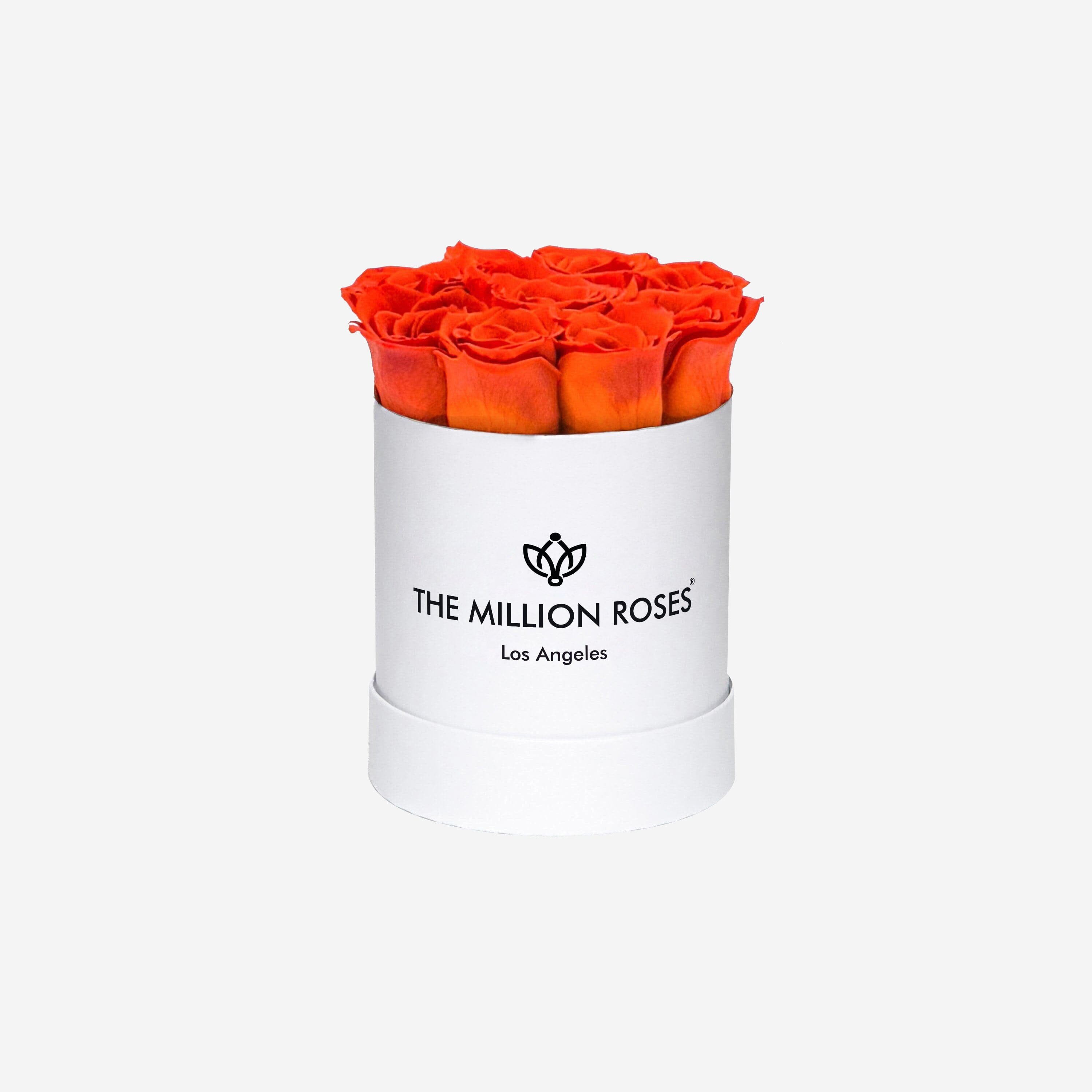 Basic White Box | Orange Roses - The Million Roses