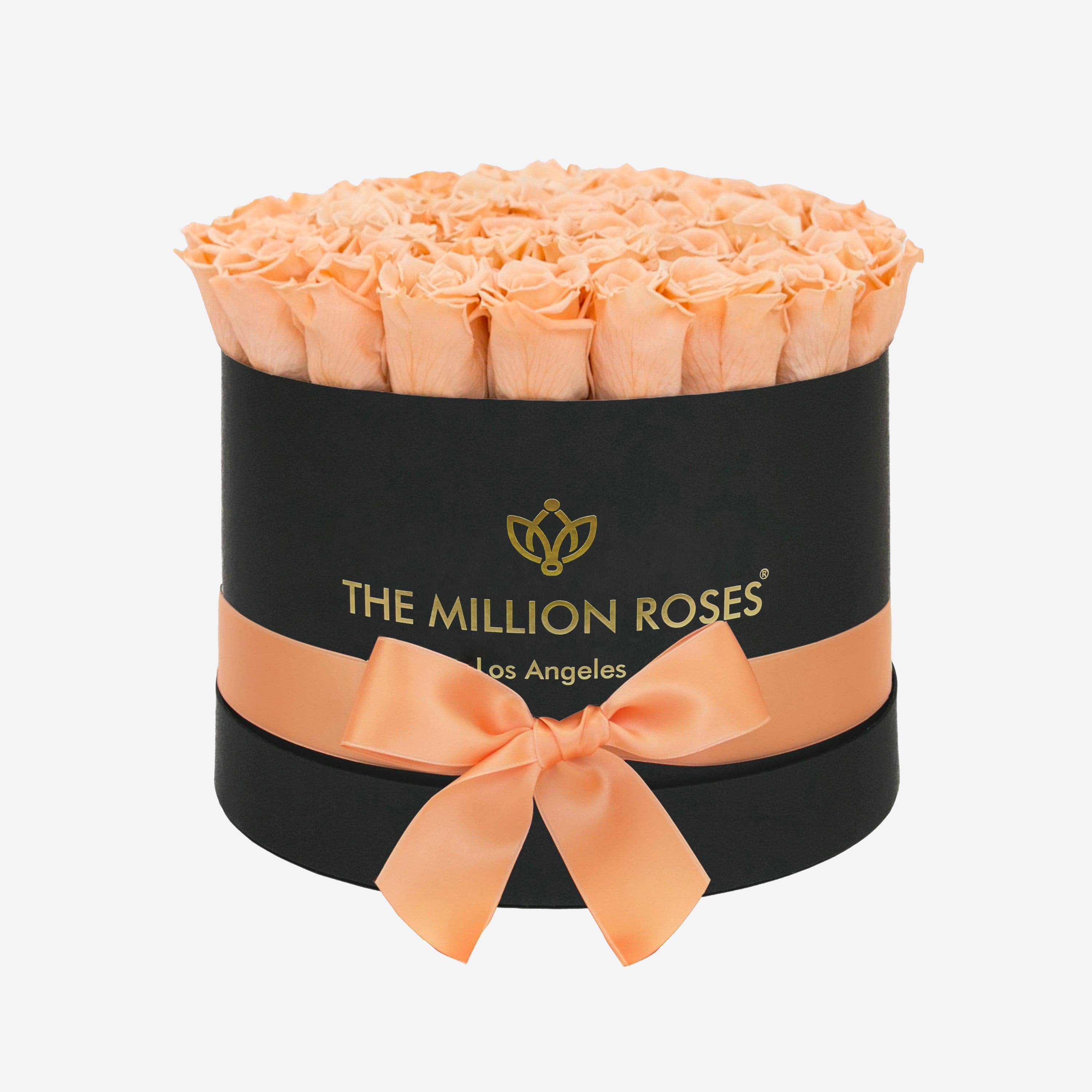 Supreme Black Box | Peach Roses - The Million Roses