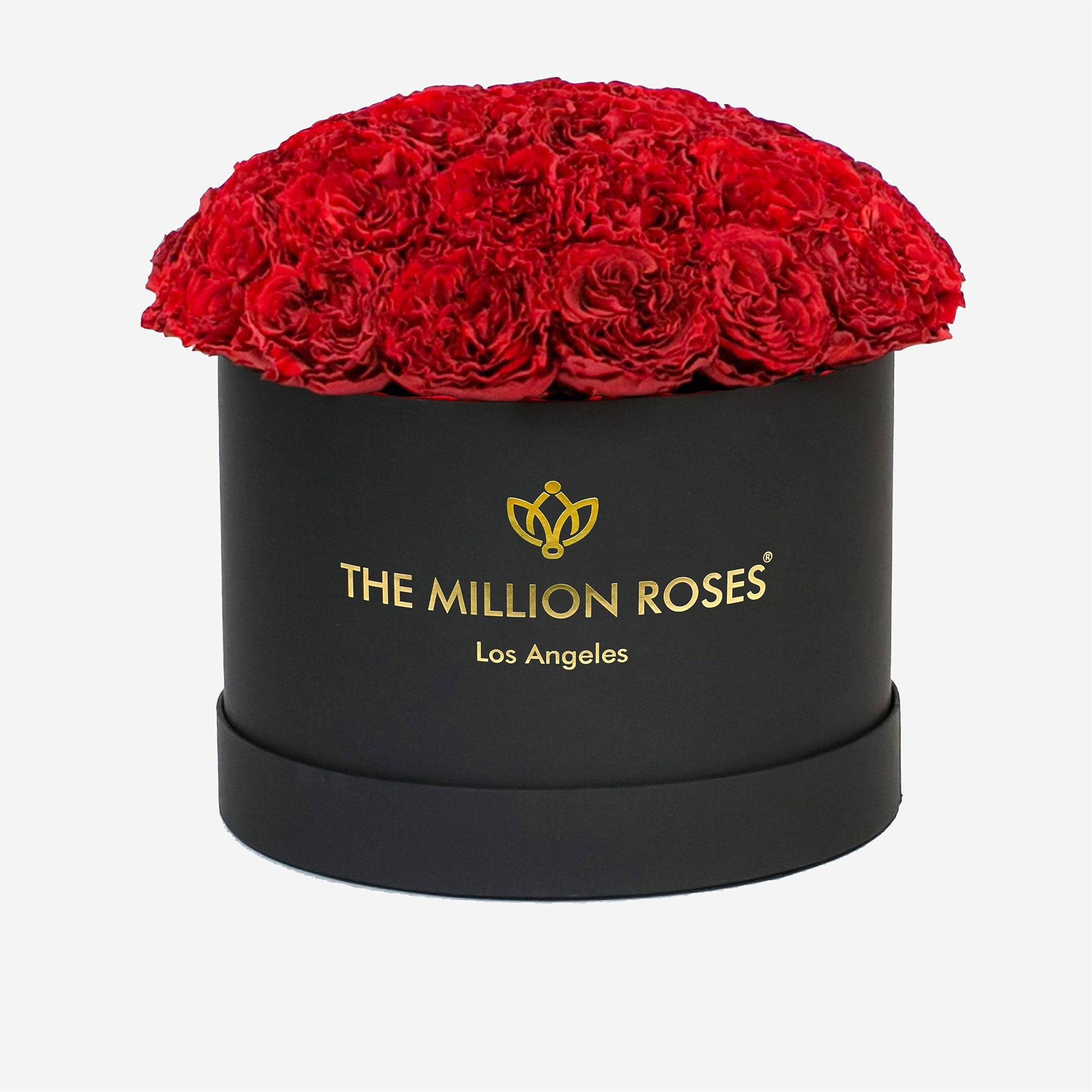 Supreme Black Dome Box | Bright Red Carmen Roses - The Million Roses