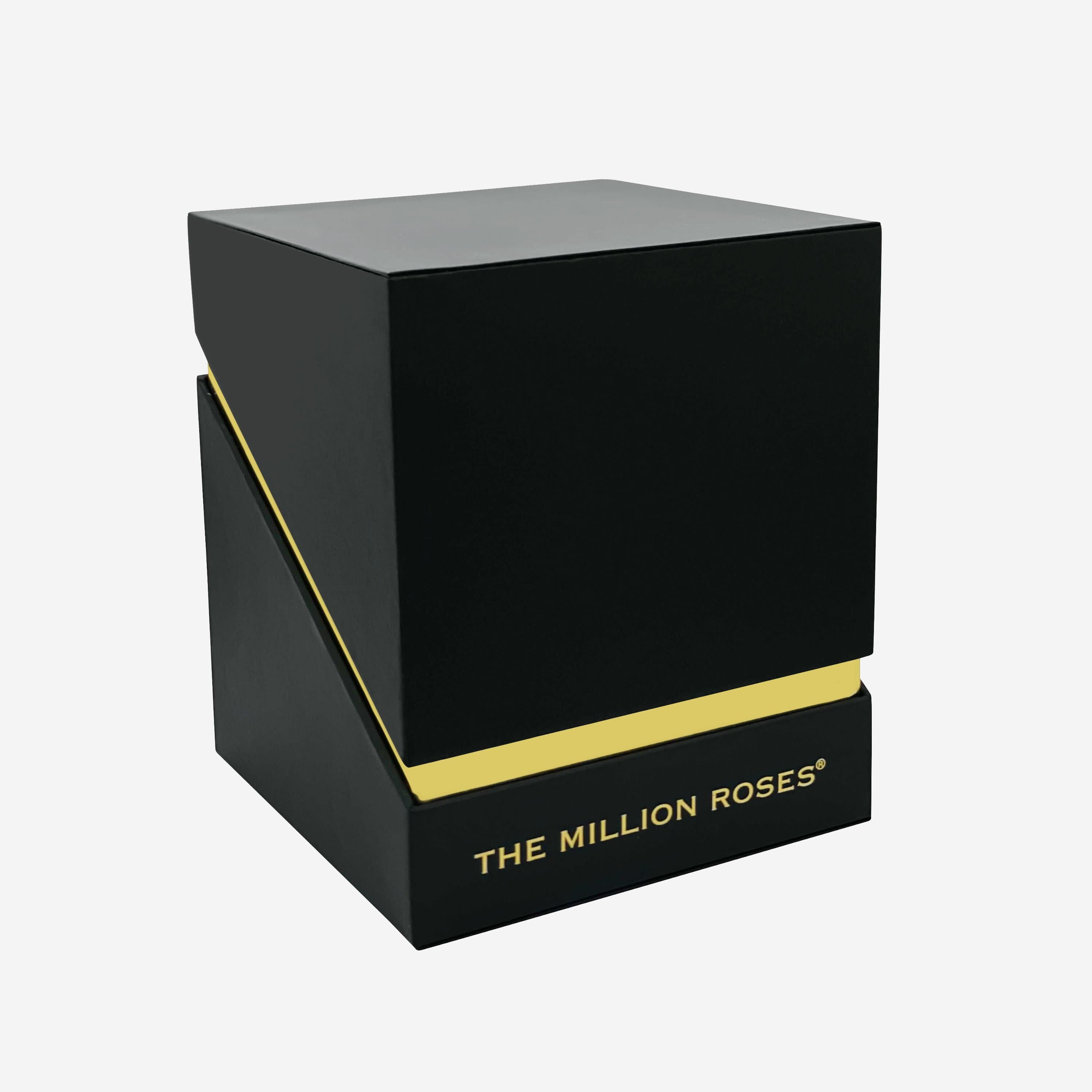 Square Black Box | Violet Roses - The Million Roses