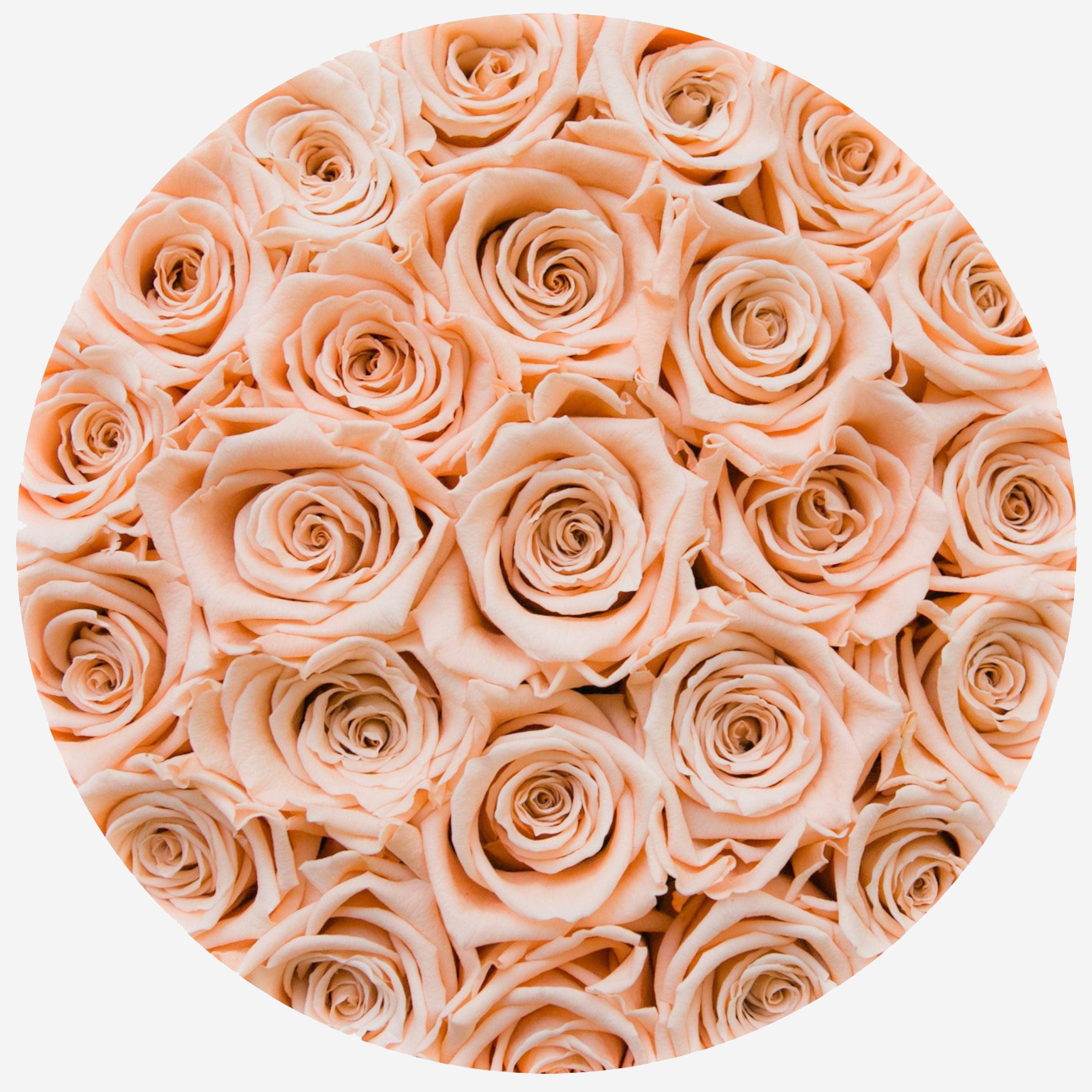 Classic White Box | Peach Roses - The Million Roses