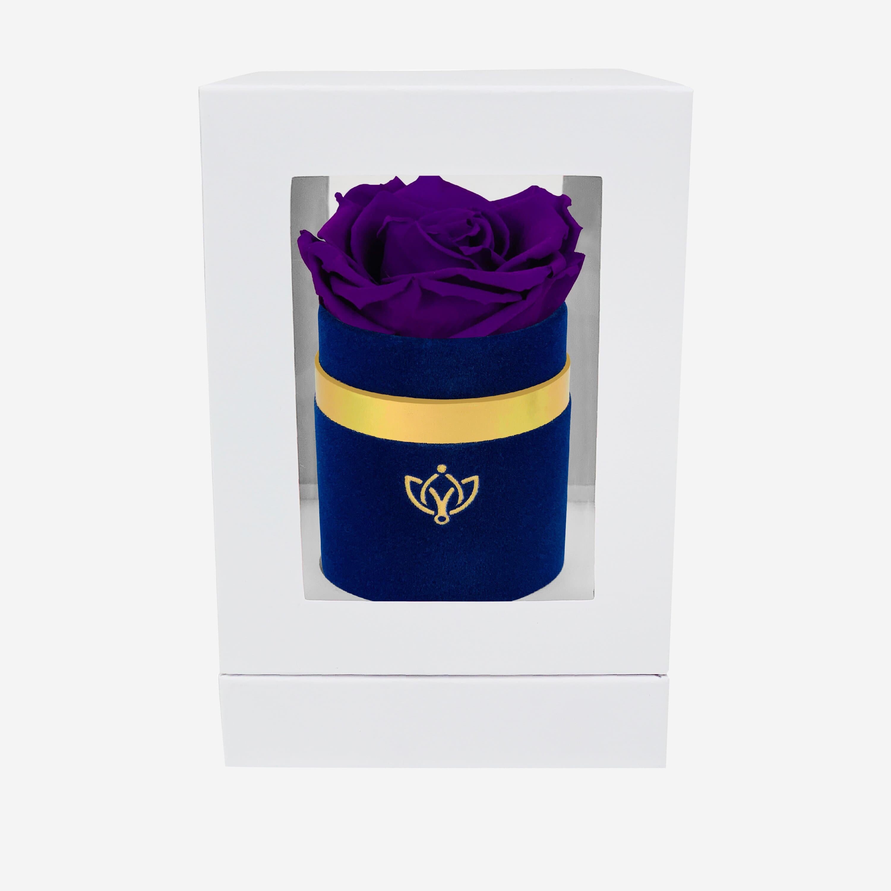 Single Royal Blue Suede Box | Bright Purple Rose - The Million Roses