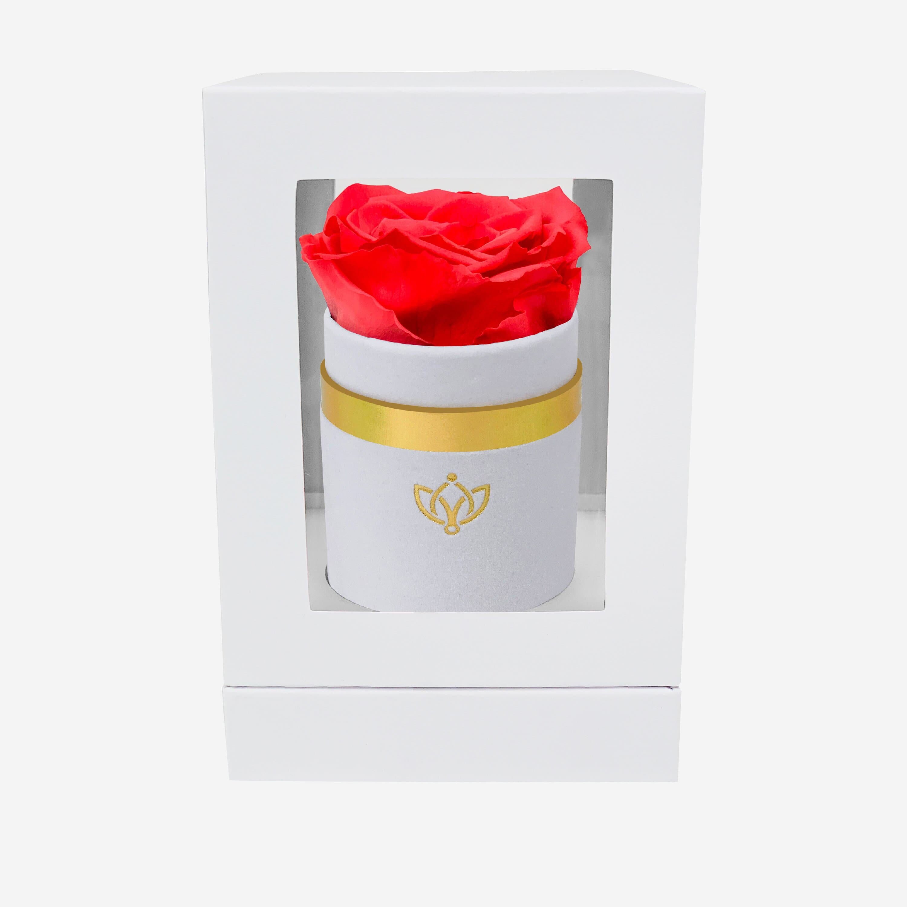 Single White Suede Box | Coral Rose - The Million Roses