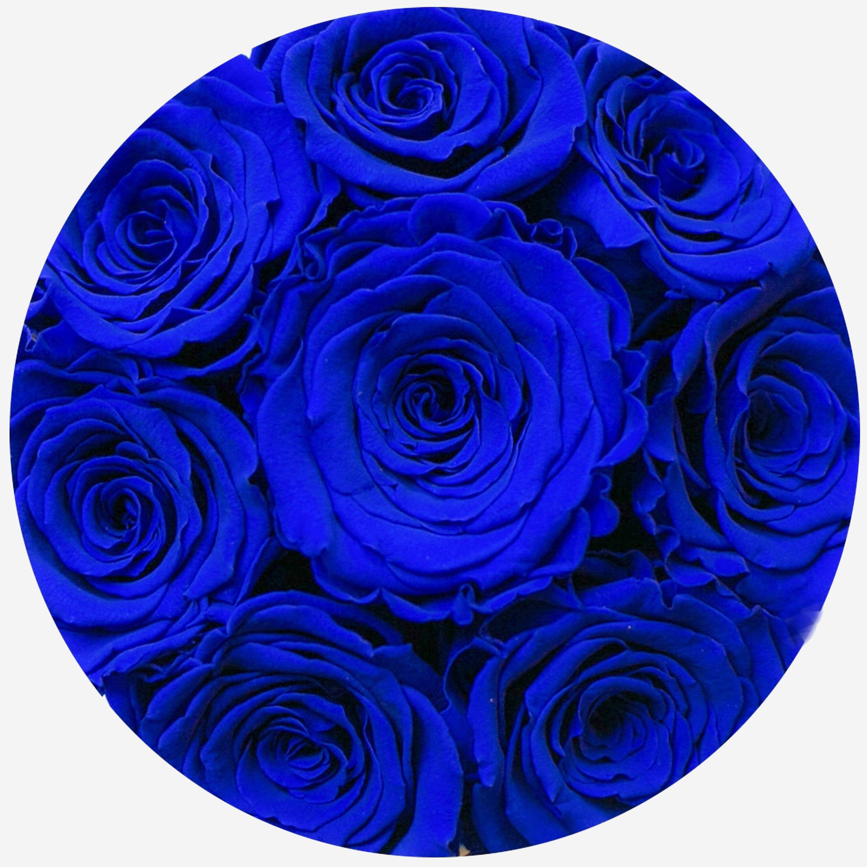 Basic Royal Blue Suede Box | Royal Blue Roses - The Million Roses