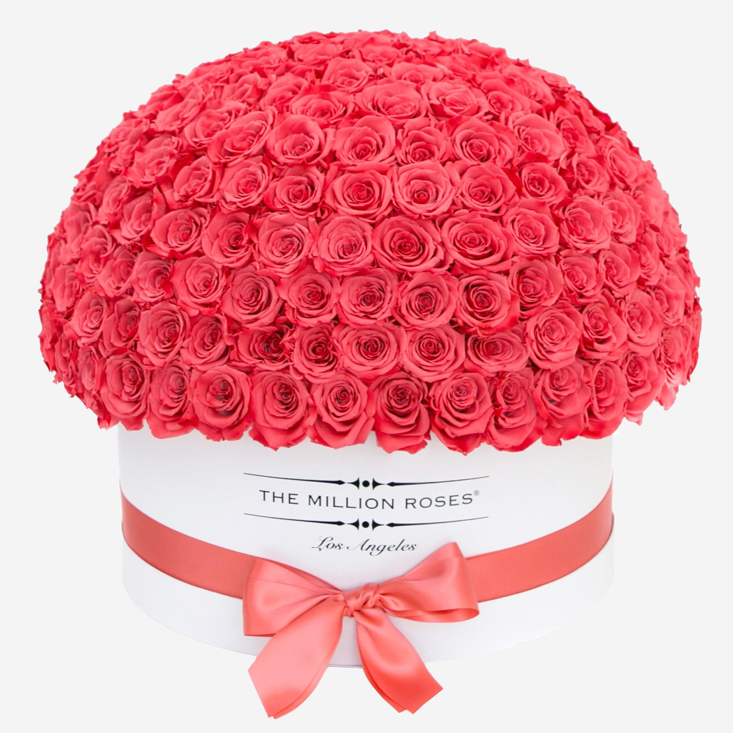 Deluxe White Dome Box | Coral Roses - The Million Roses