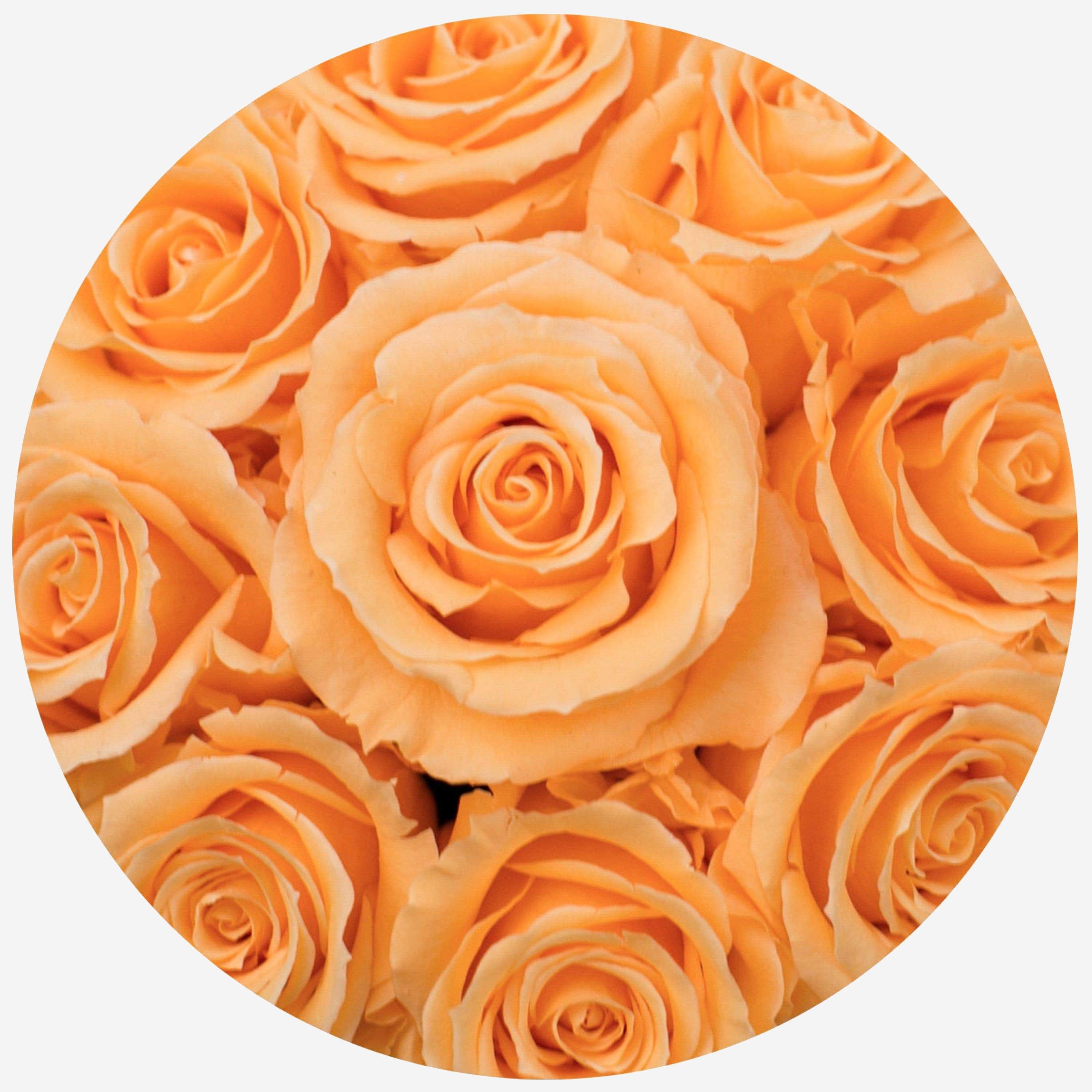 Basic Black Box | Peach Roses - The Million Roses