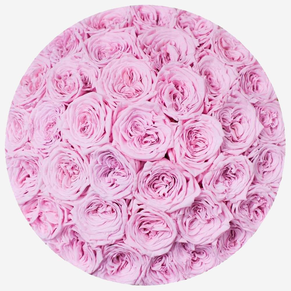 Supreme Black Dome Box | Light Pink Roses - The Million Roses