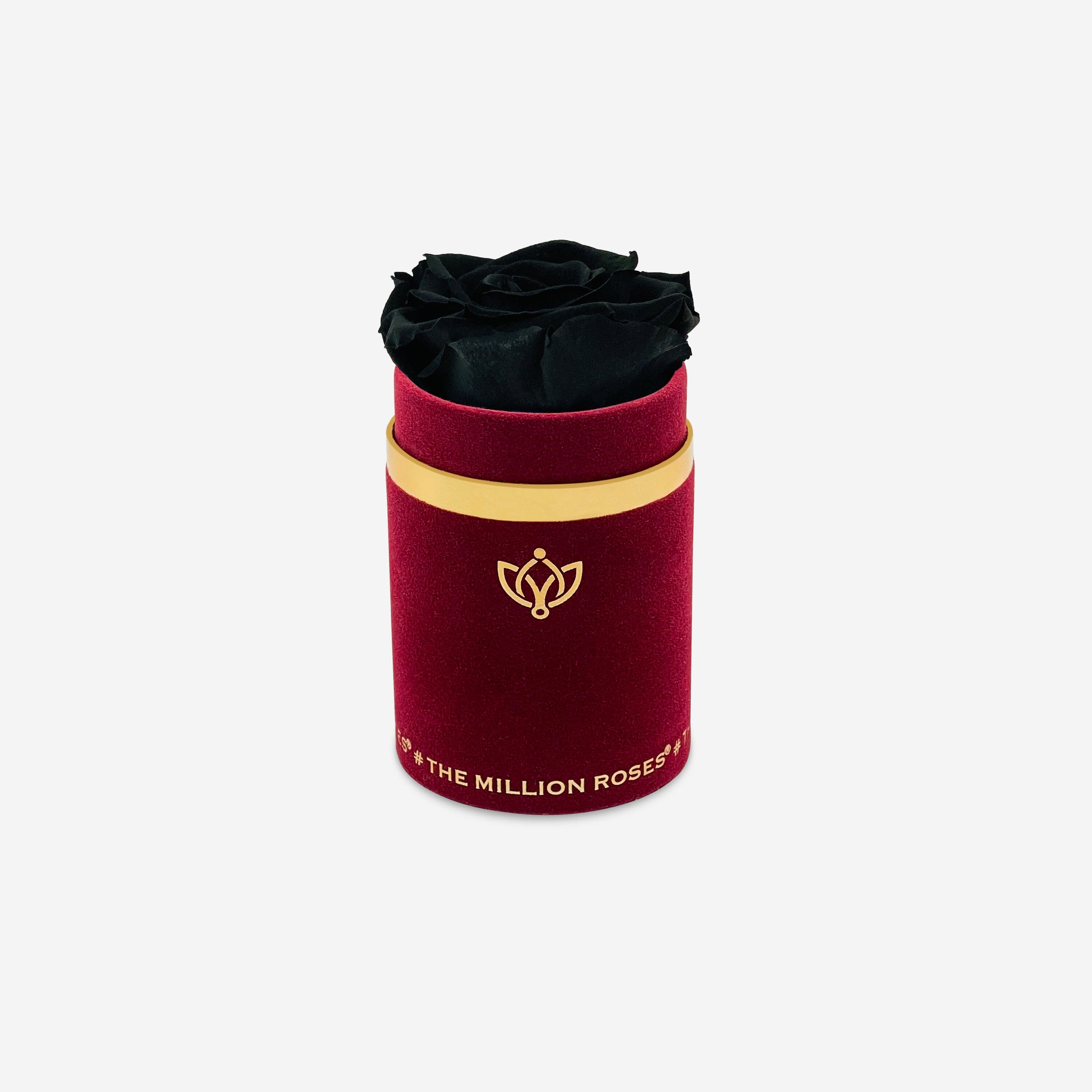 Single Bordeaux Suede Box | Black Rose - The Million Roses