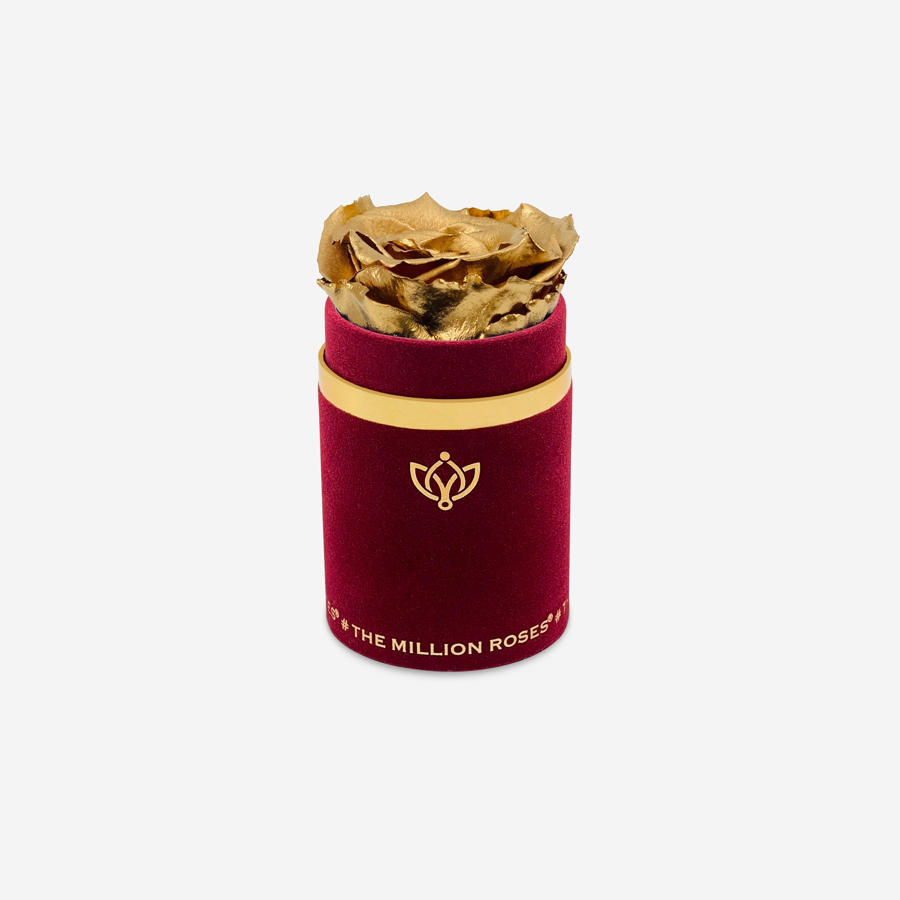 Single Bordeaux Suede Box | Gold Rose - The Million Roses